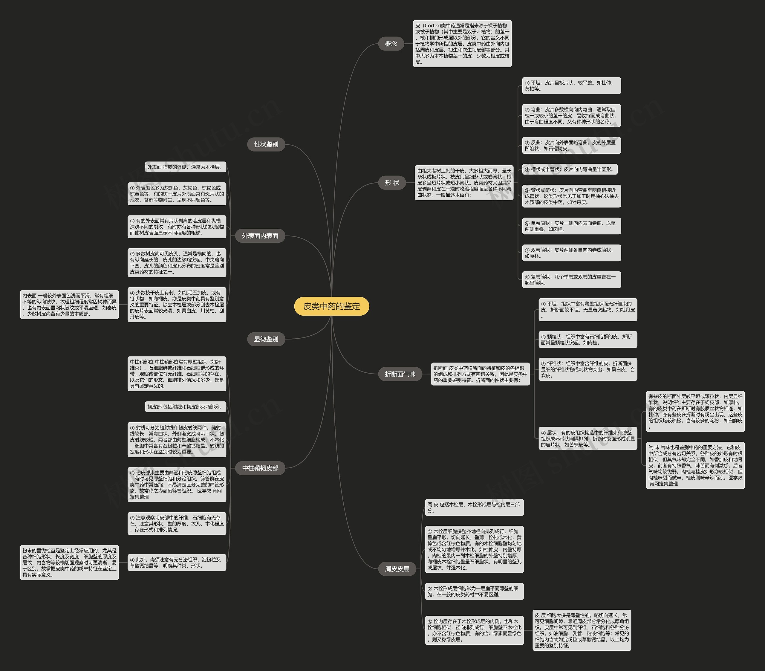 皮类中药的鉴定 皮类中药的鉴定