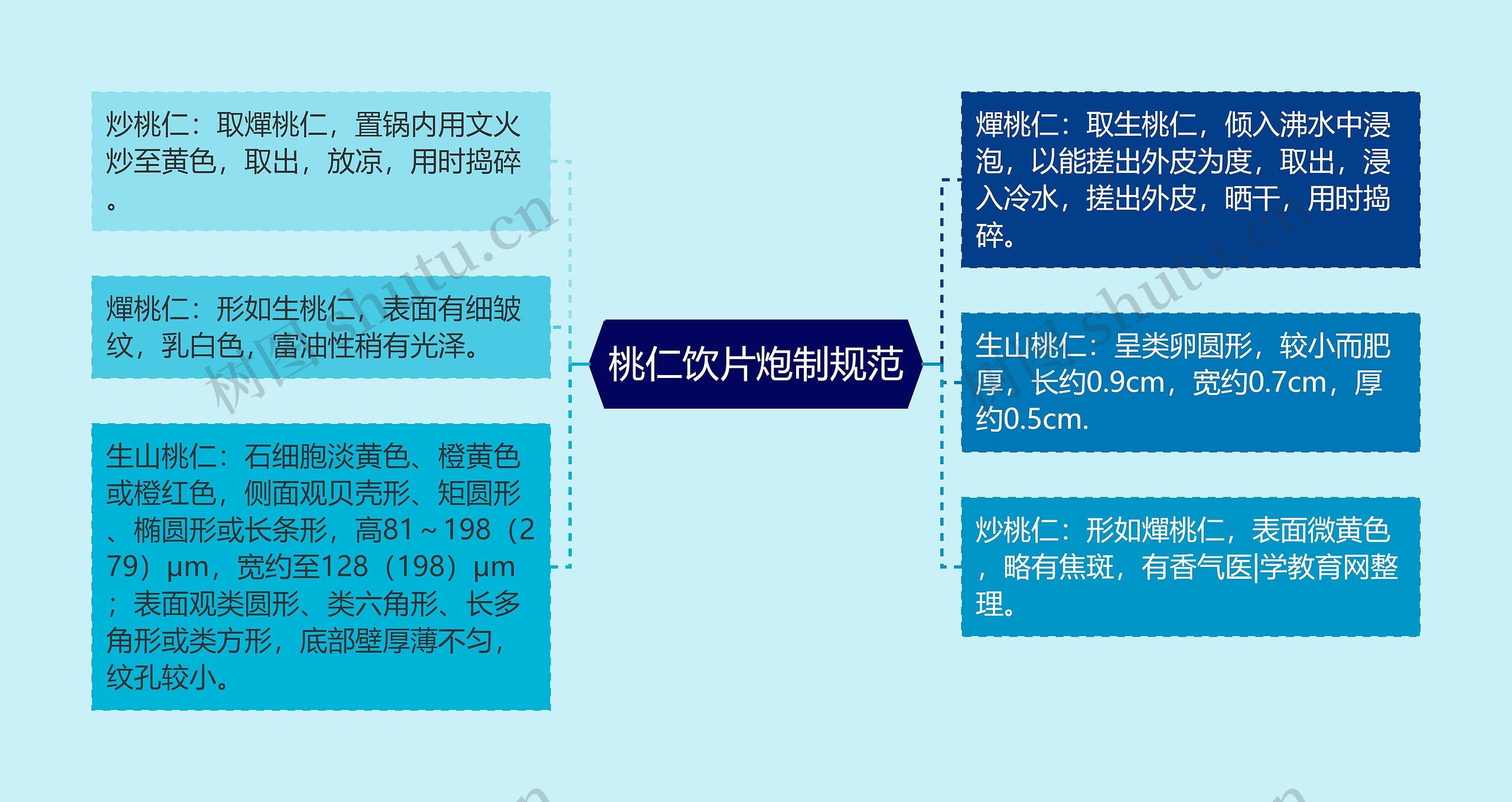 桃仁饮片炮制规范思维导图