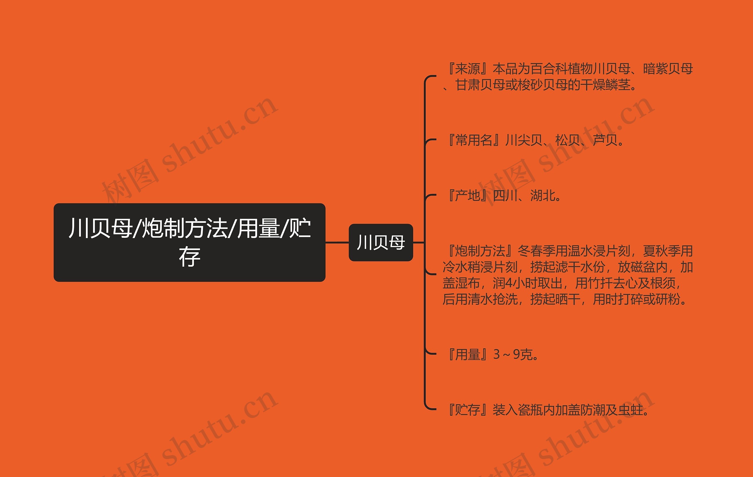 川贝母/炮制方法/用量/贮存思维导图