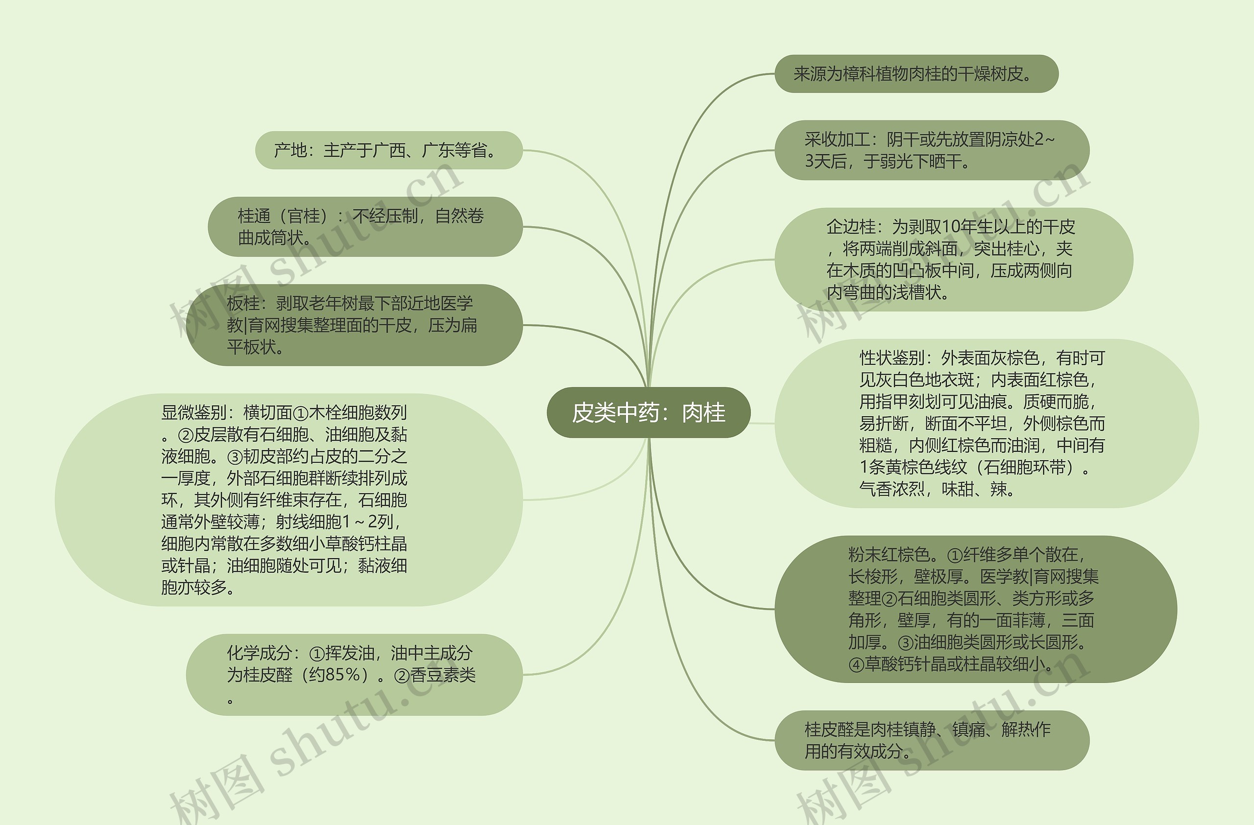 皮类中药：肉桂思维导图