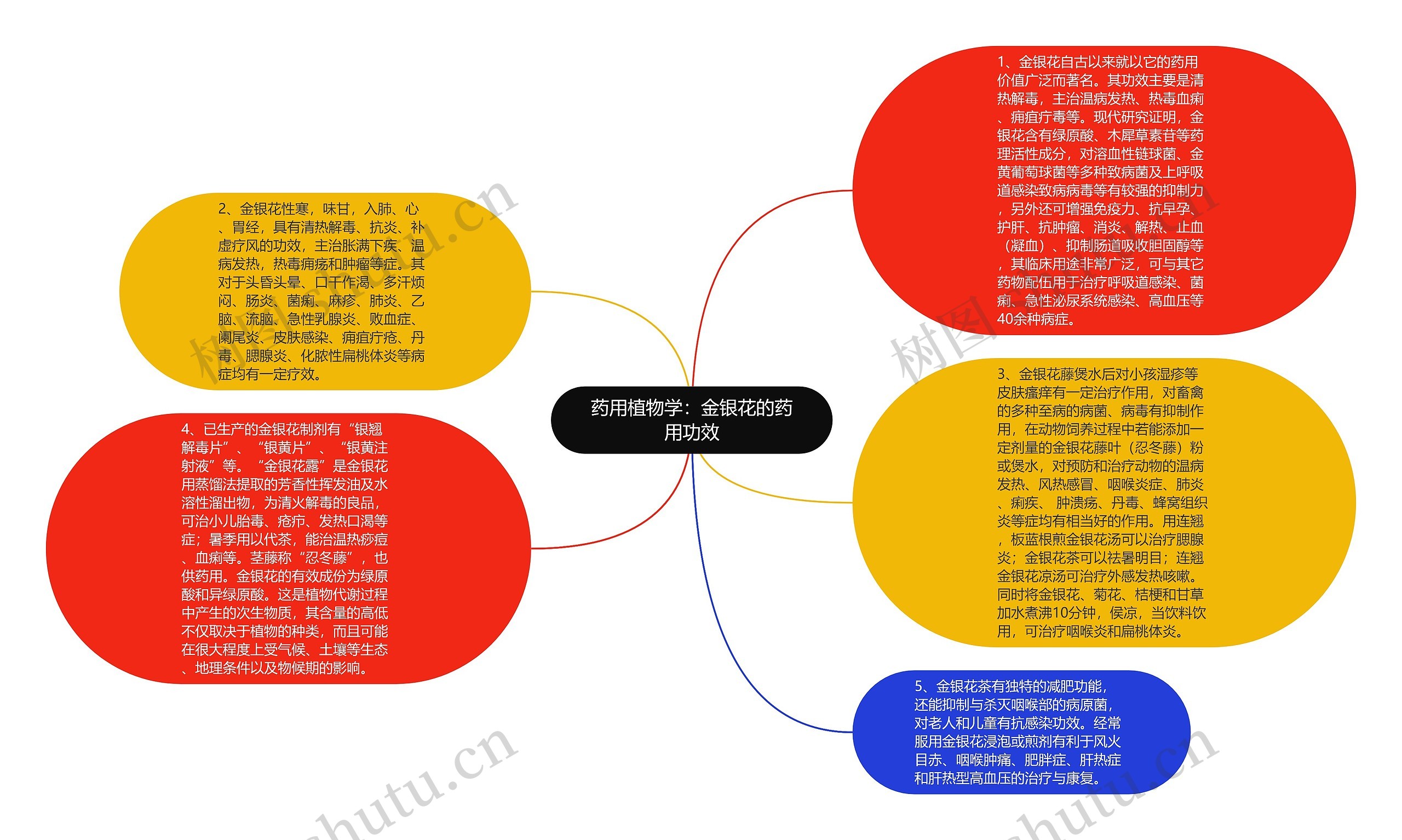 药用植物学：金银花的药用功效思维导图