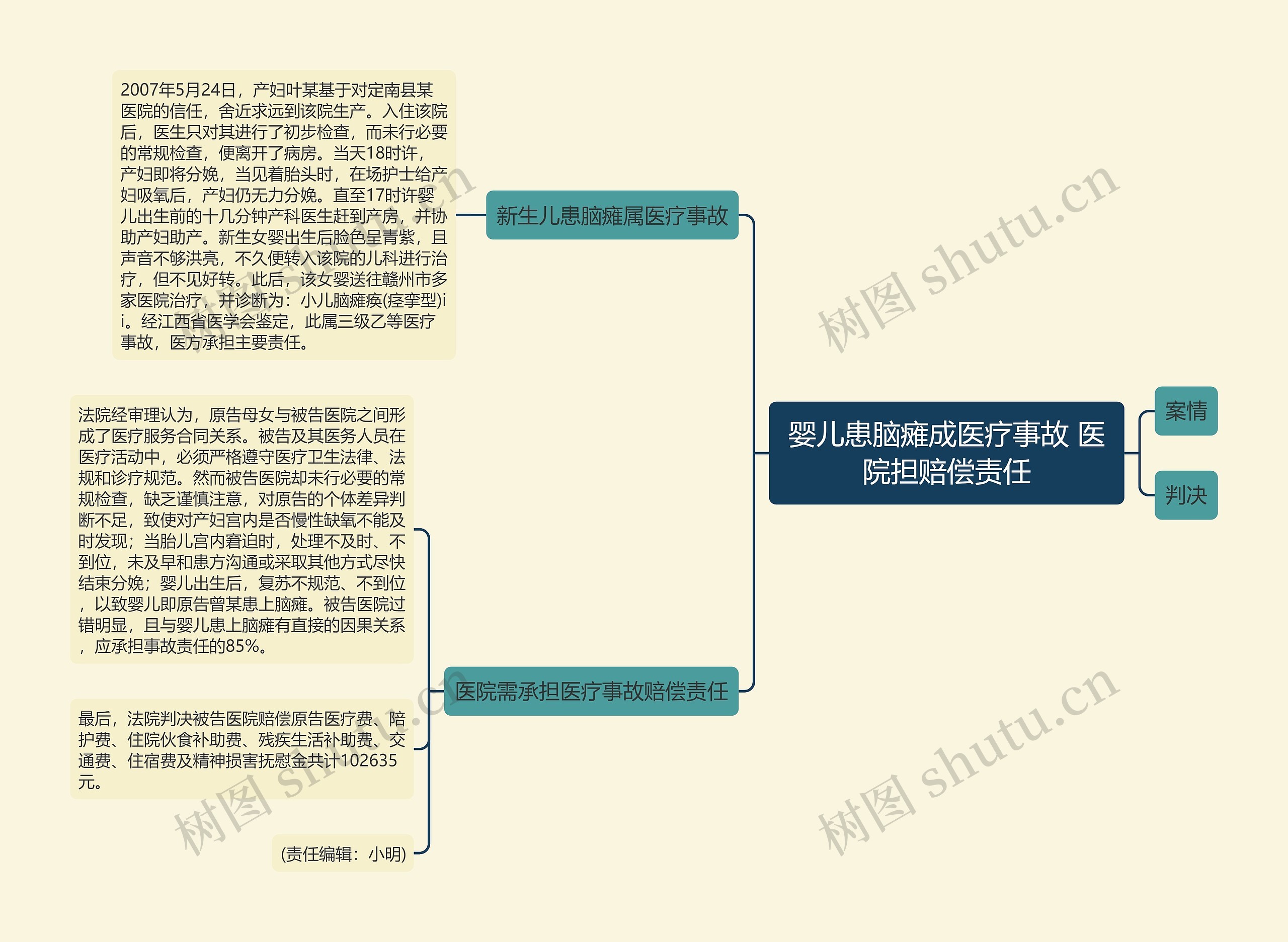 婴儿患脑瘫成医疗事故 医院担赔偿责任思维导图