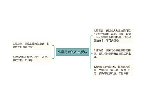 小诺霉素的不良反应