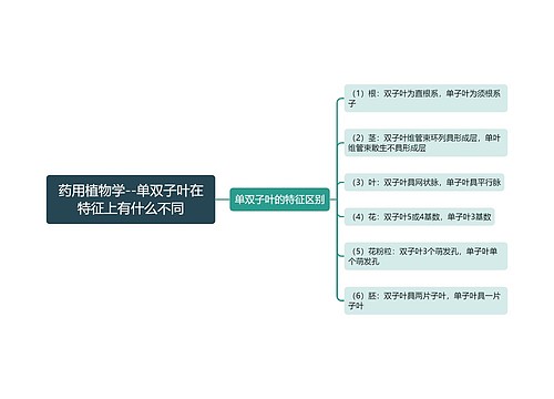 药用植物学--单双子叶在特征上有什么不同