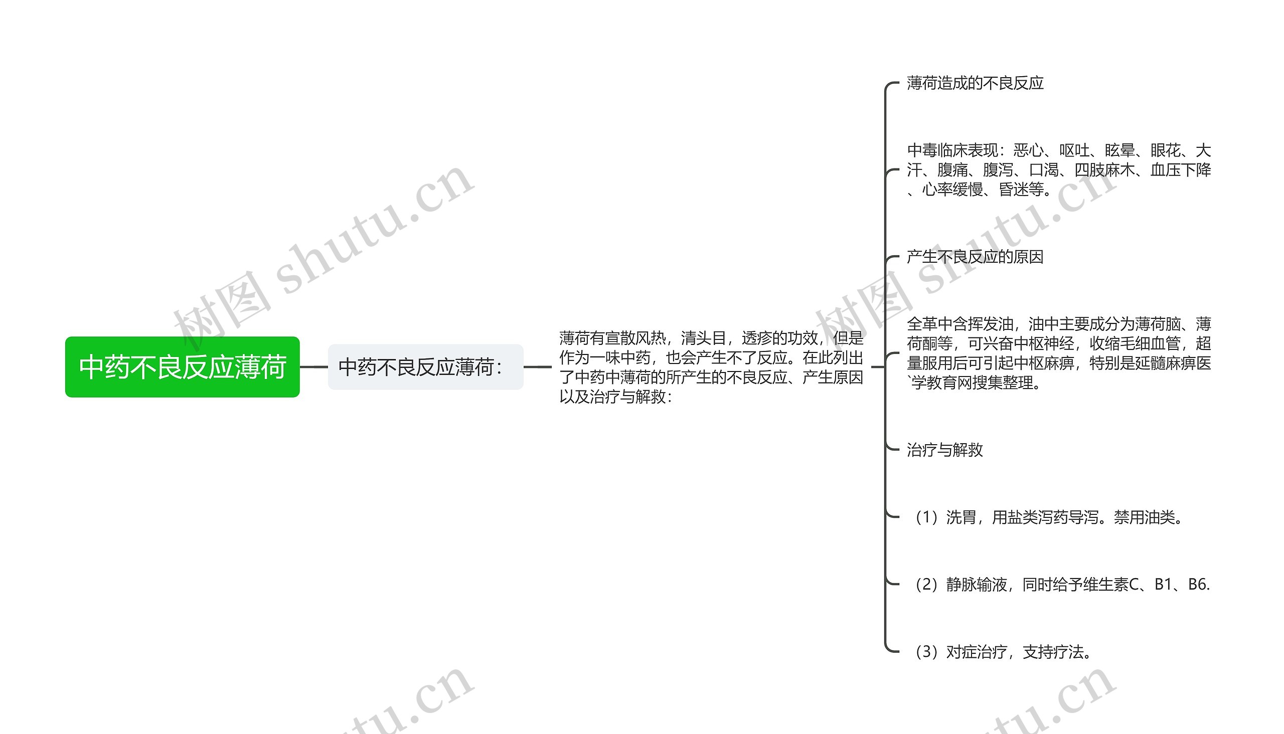 中药不良反应薄荷思维导图