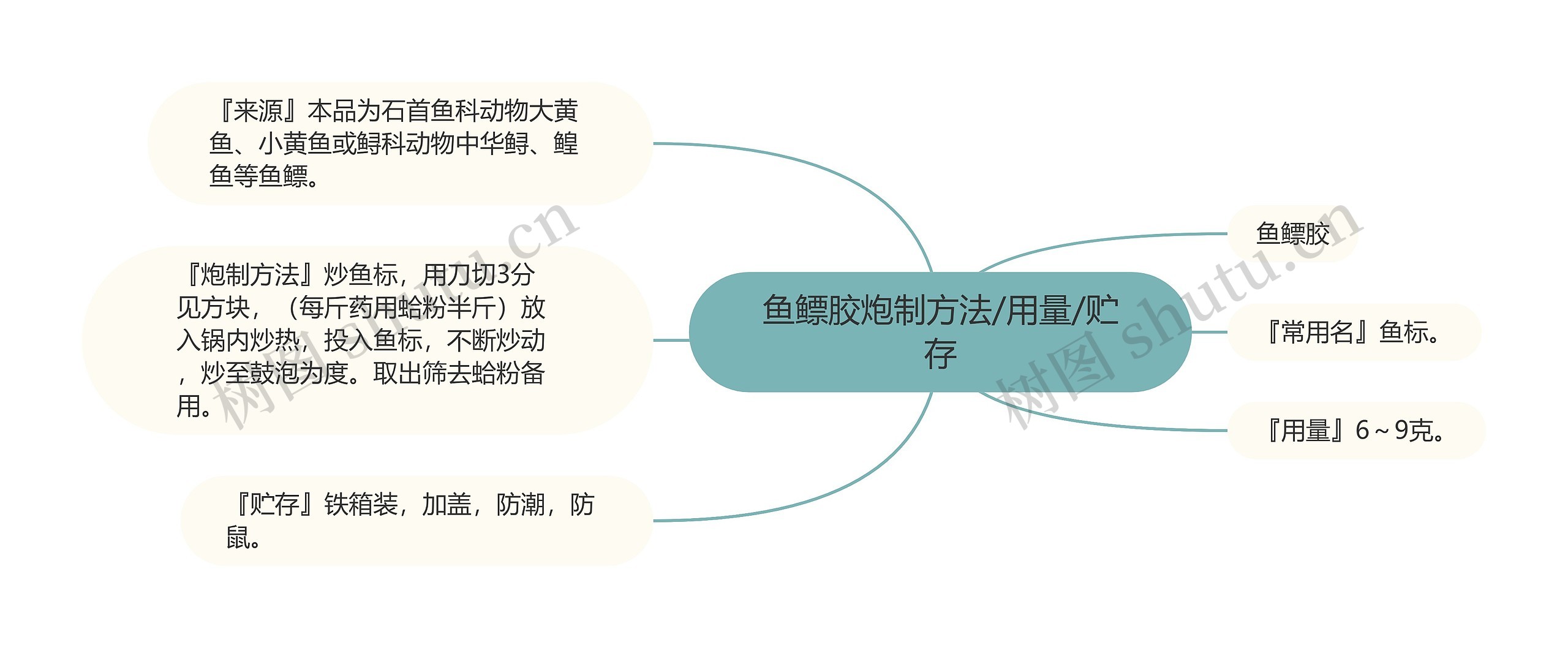 鱼鳔胶炮制方法/用量/贮存