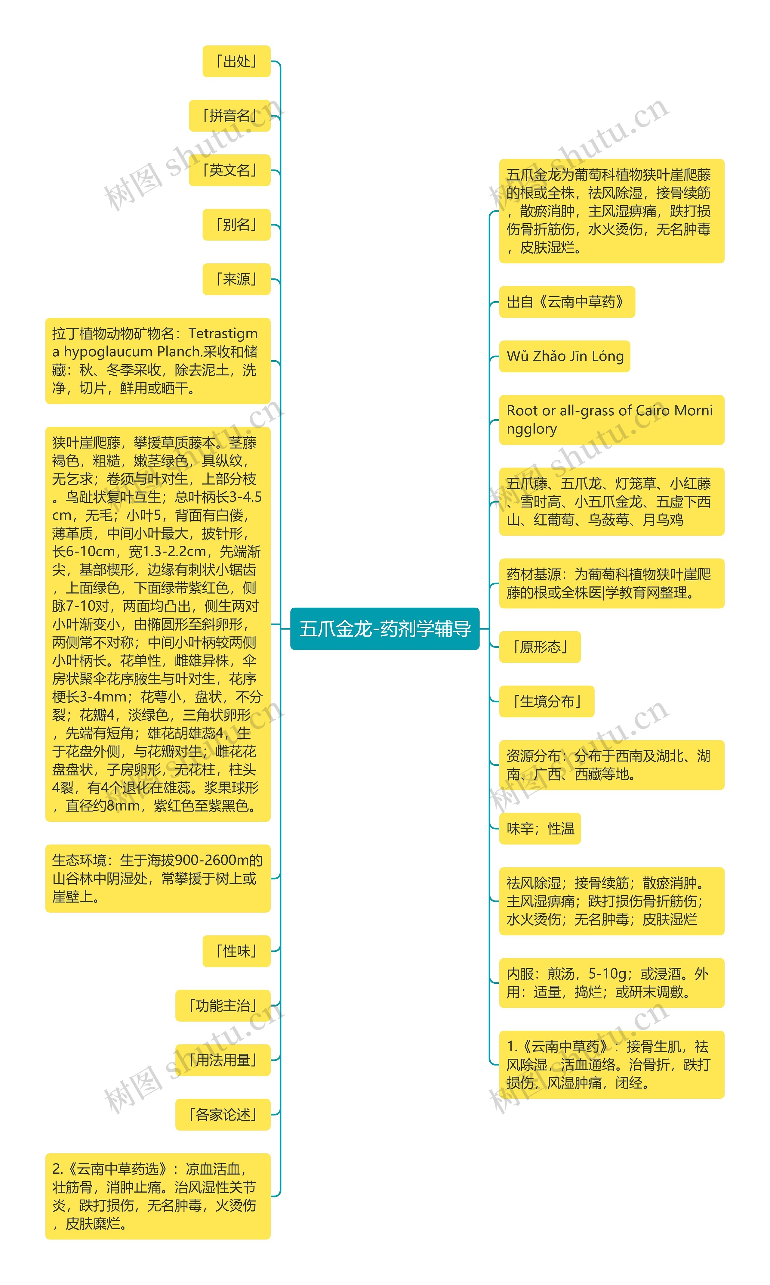 五爪金龙-药剂学辅导思维导图