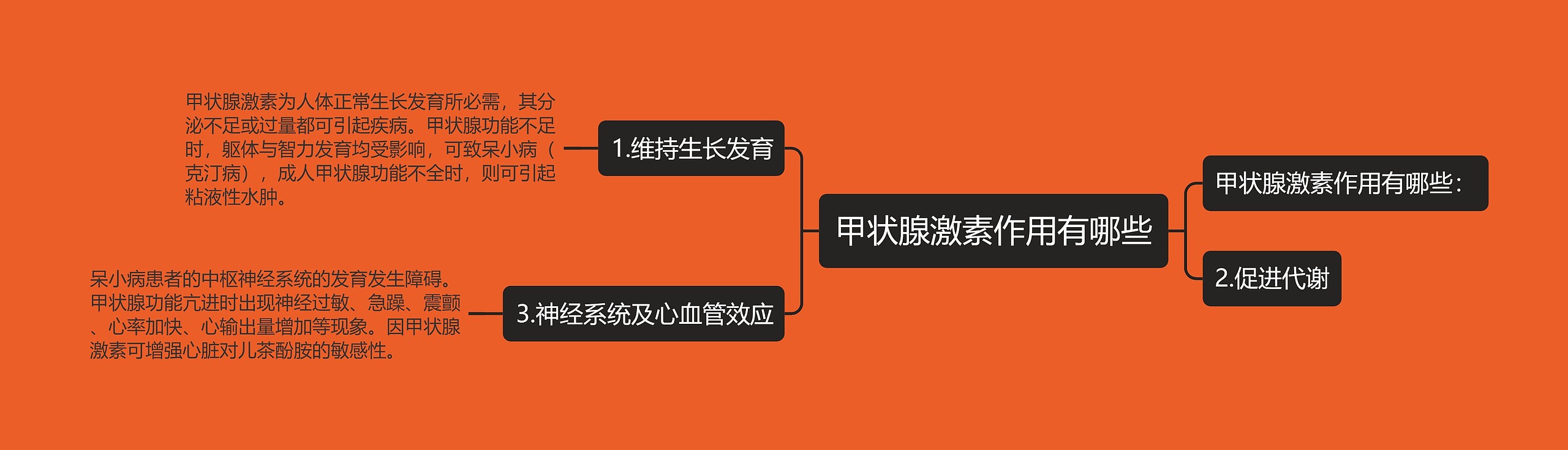 甲状腺激素作用有哪些思维导图