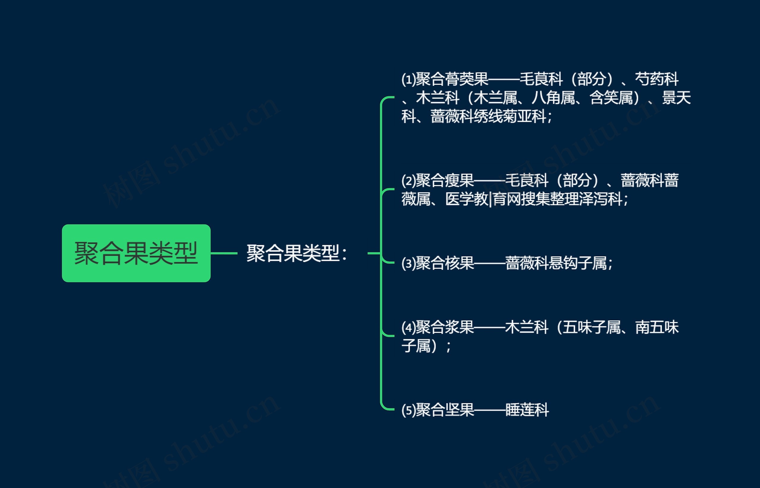 聚合果类型思维导图