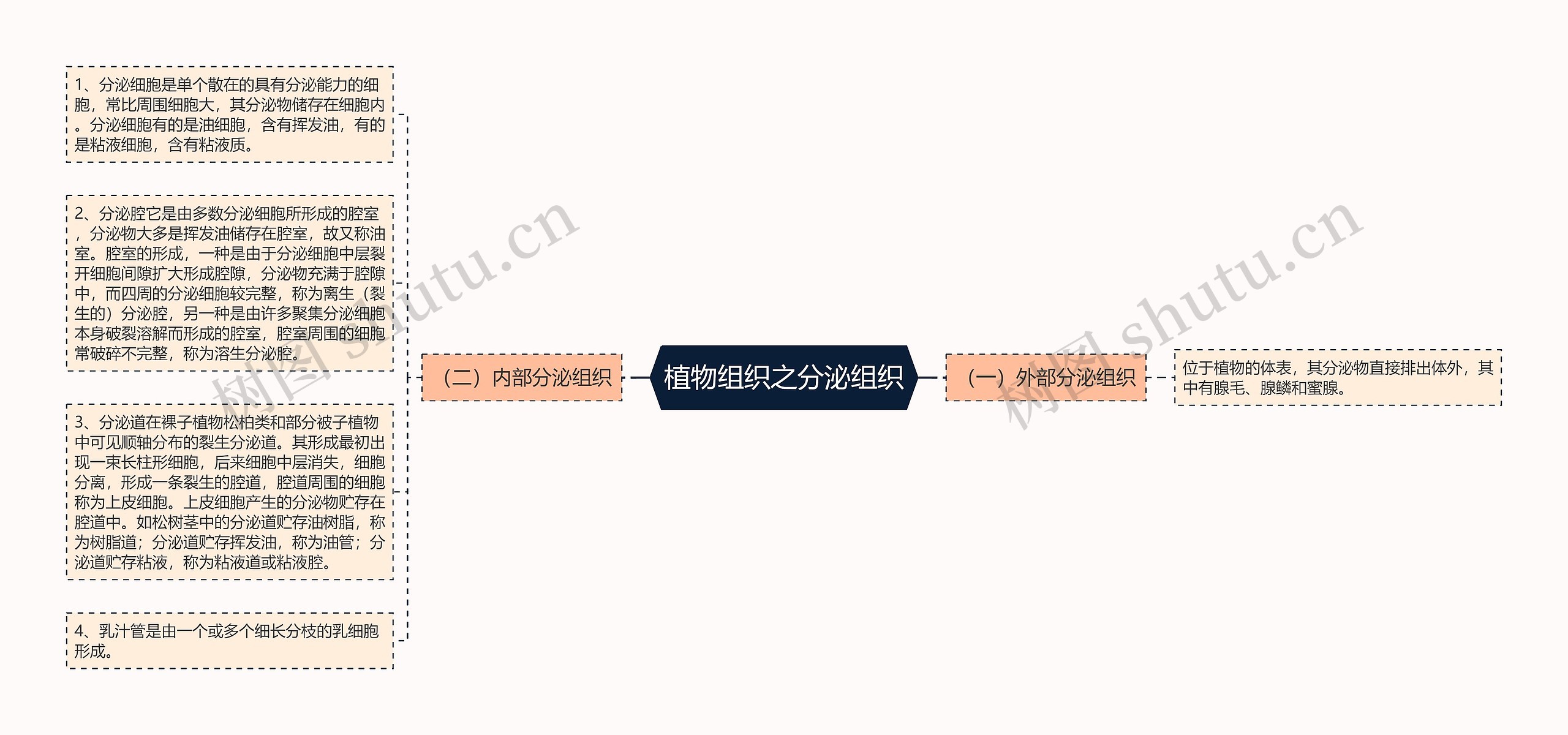 植物组织之分泌组织思维导图