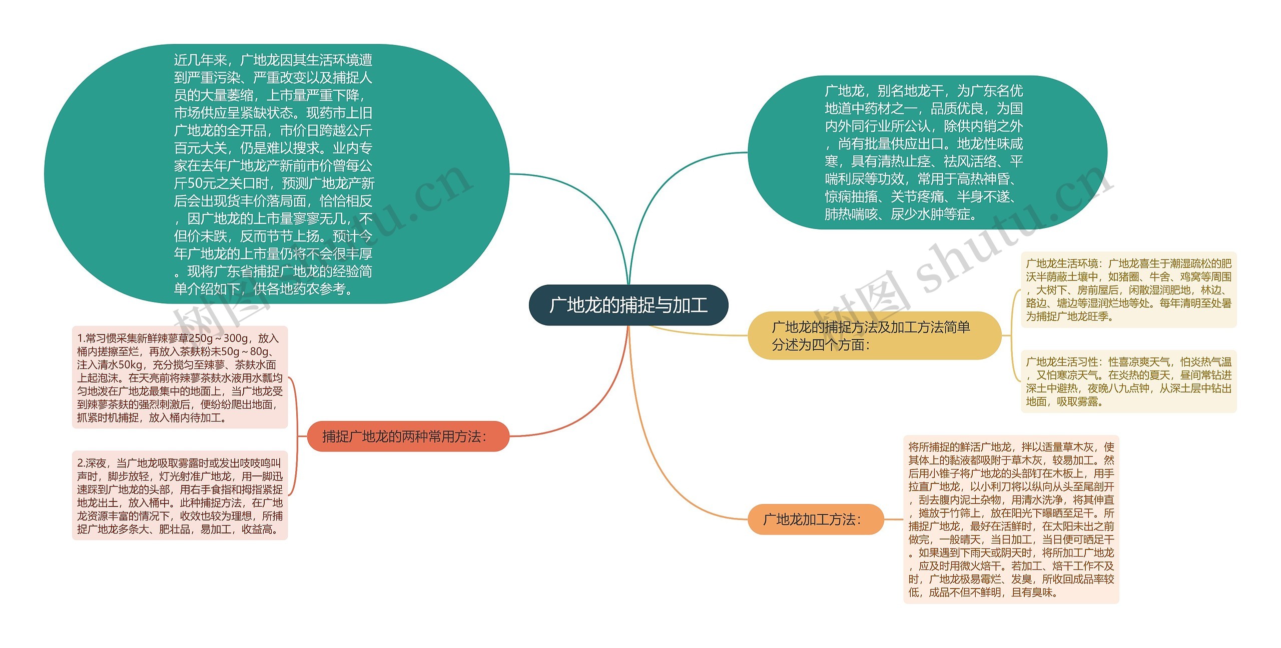 广地龙的捕捉与加工思维导图