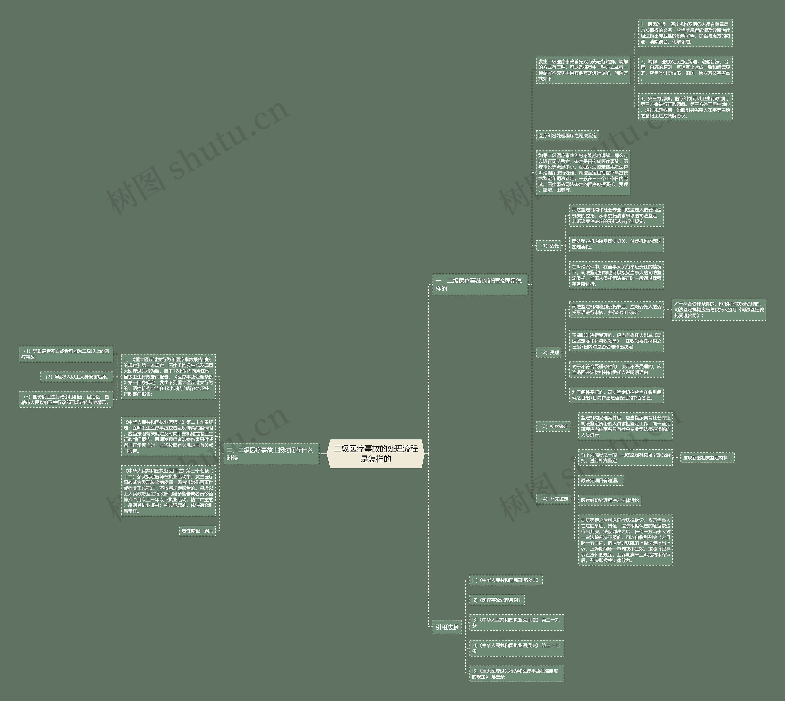 二级医疗事故的处理流程是怎样的思维导图