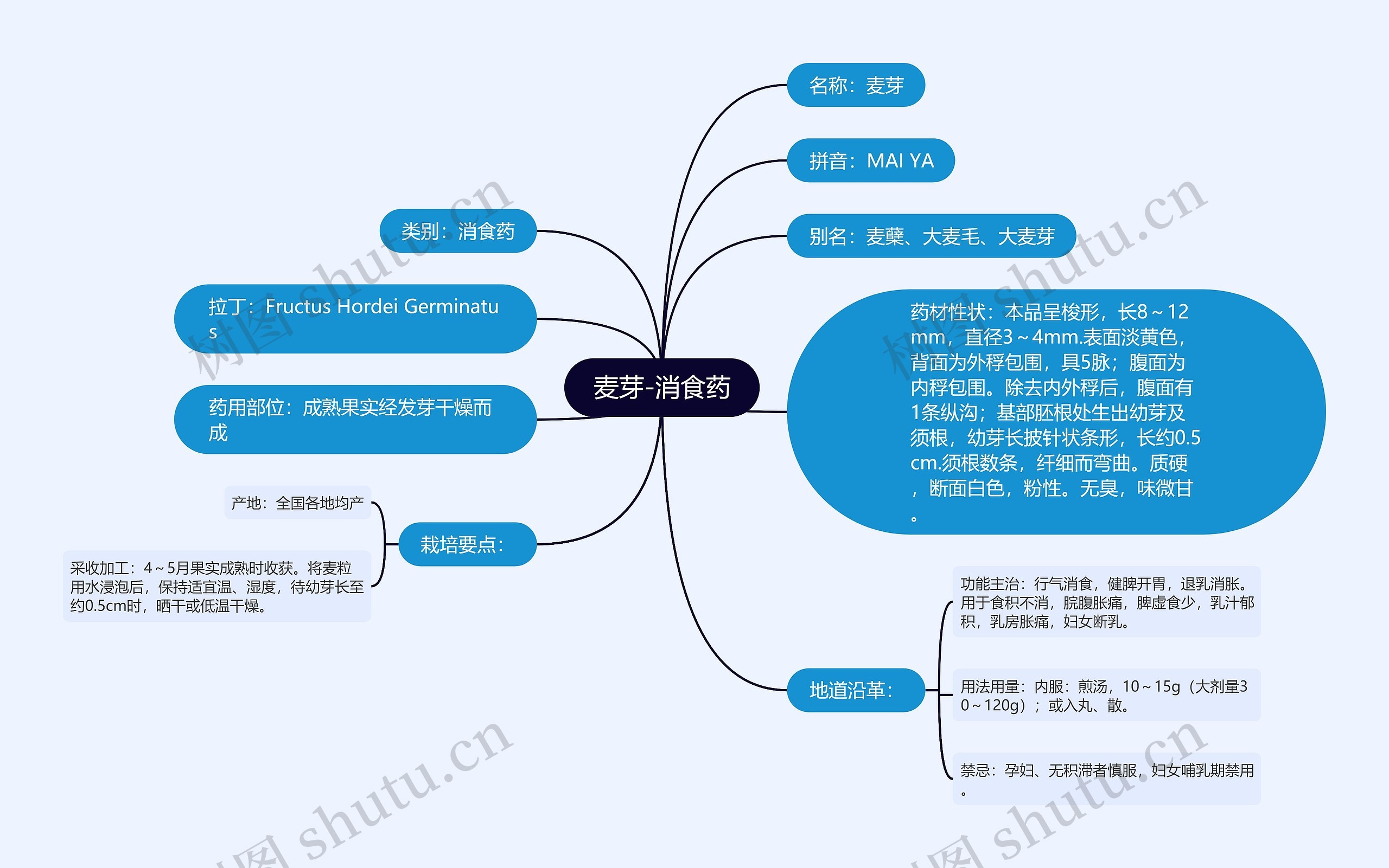 麦芽-消食药思维导图