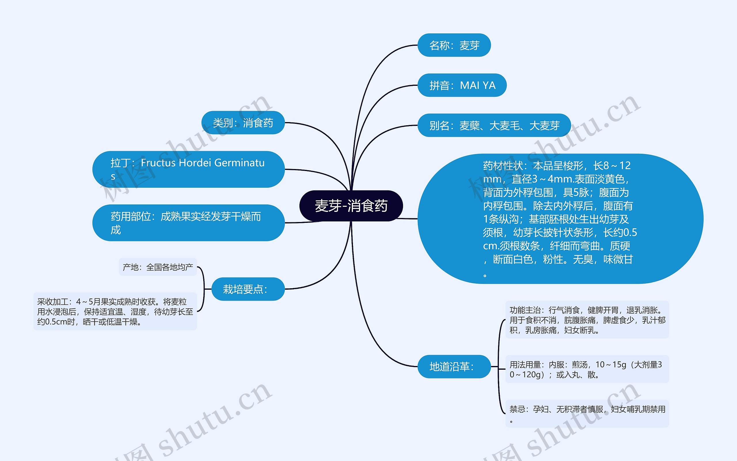 麦芽-消食药思维导图高清图 麦芽-消食药思维导图