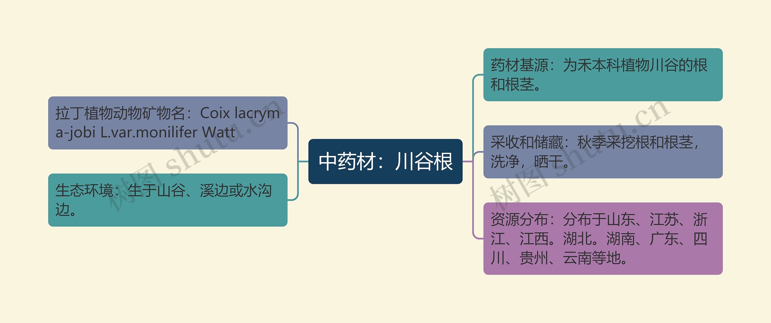 中药材：川谷根思维导图