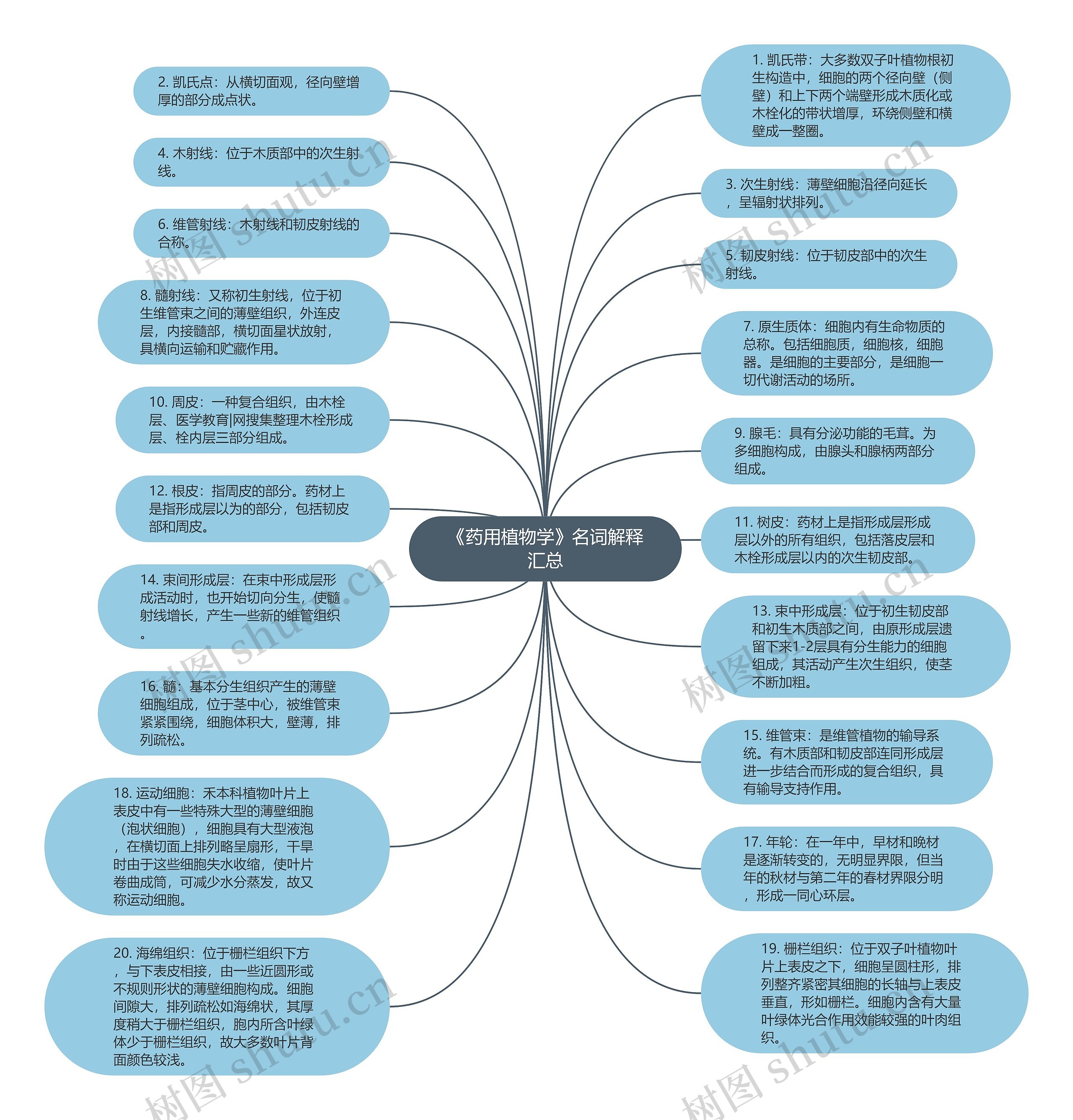 《药用植物学》名词解释汇总思维导图