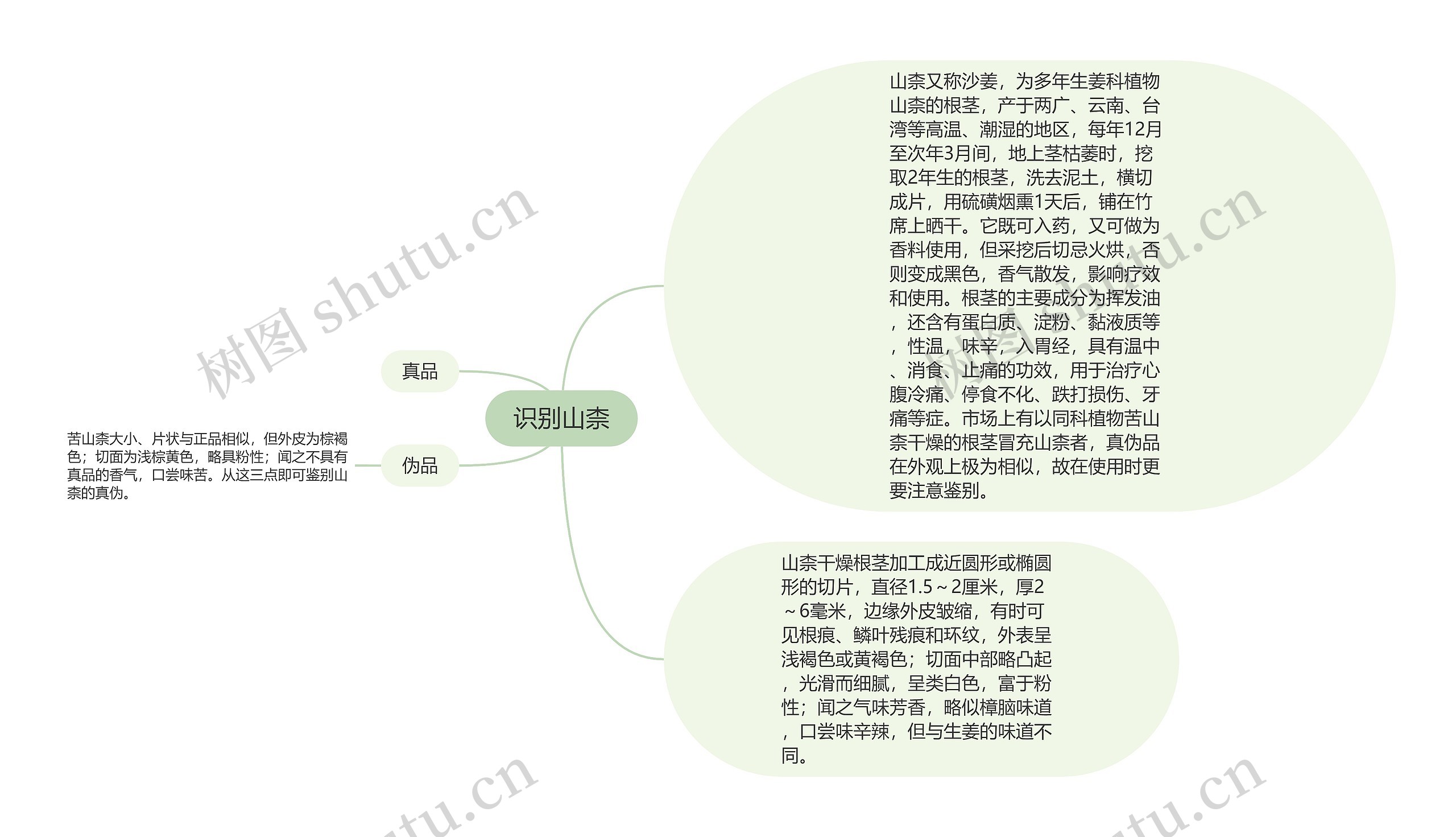 识别山柰思维导图