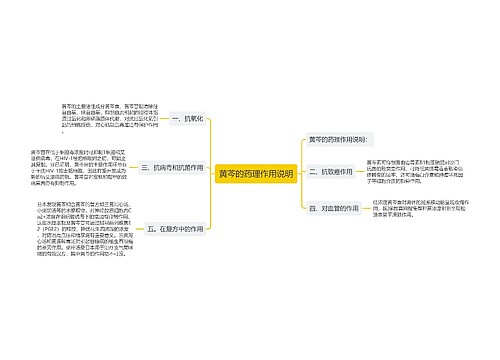 黄芩的药理作用说明