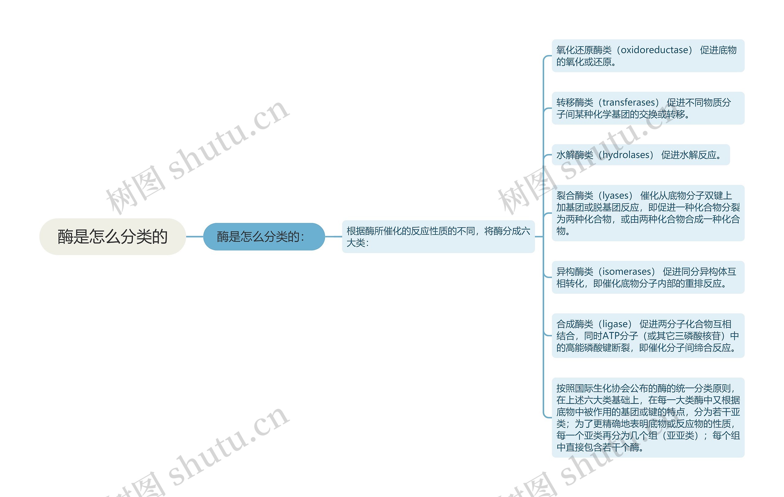 酶是怎么分类的