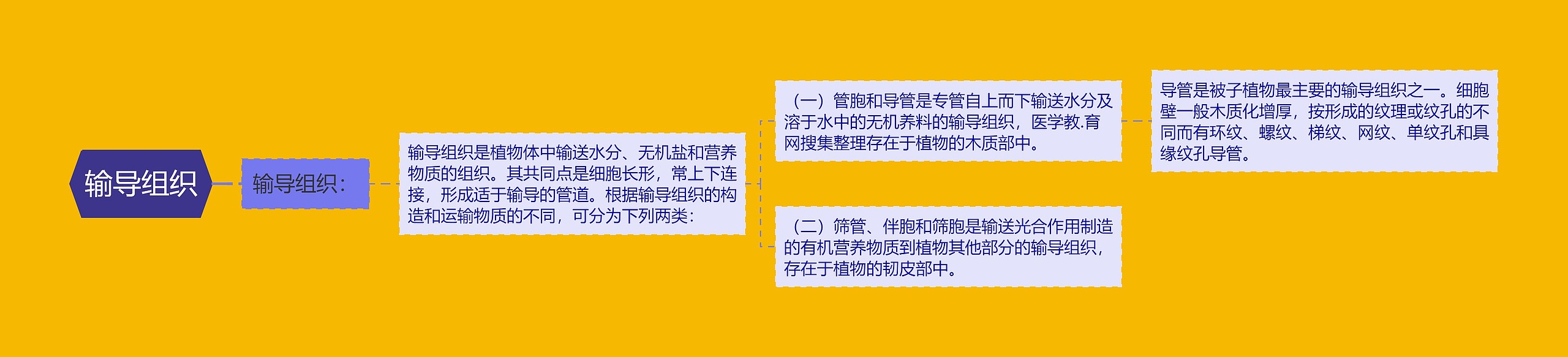 输导组织 输导组织