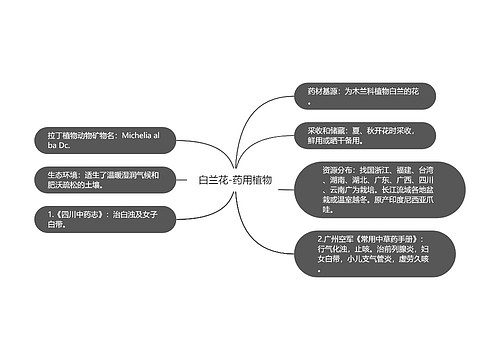 白兰花-药用植物