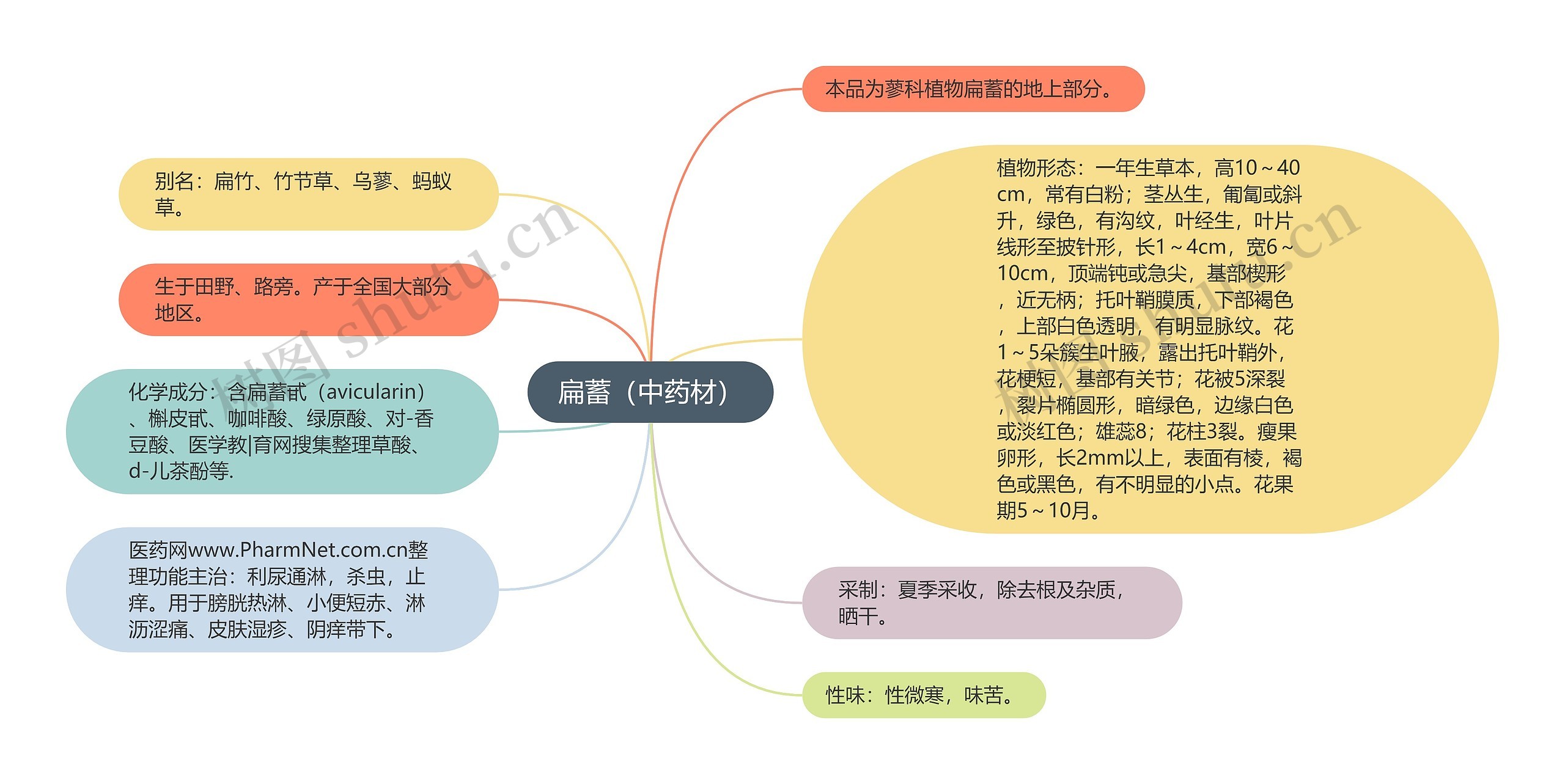 扁蓄（中药材）思维导图