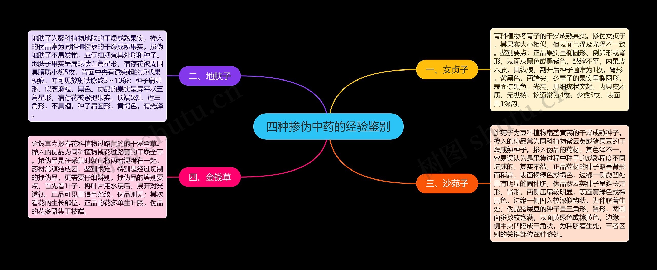 四种掺伪中药的经验鉴别思维导图