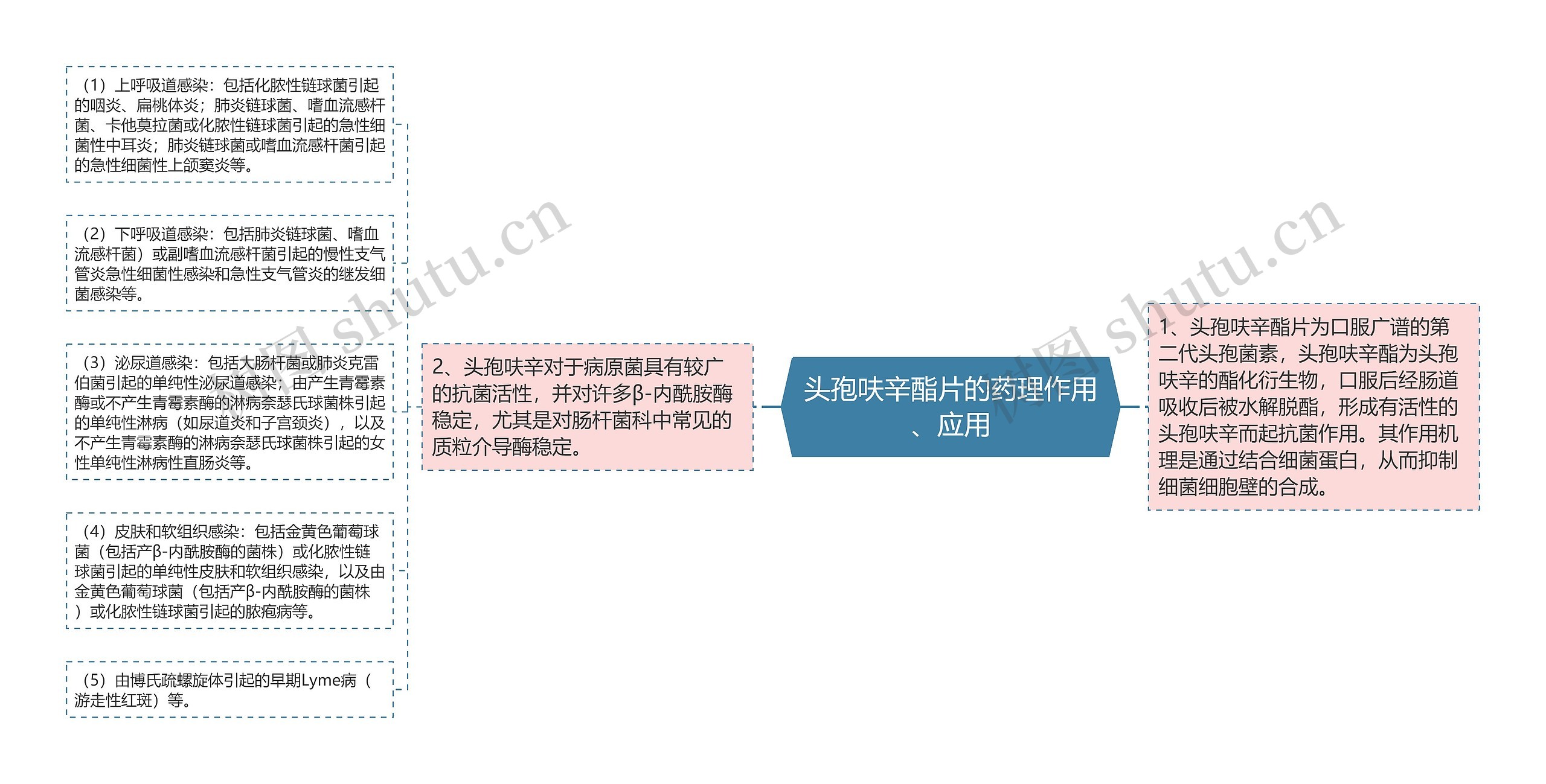 头孢呋辛酯片的药理作用、应用思维导图