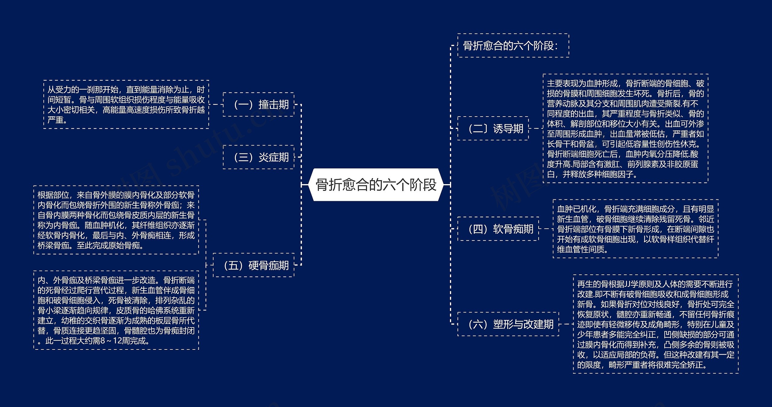 骨折愈合的六个阶段思维导图