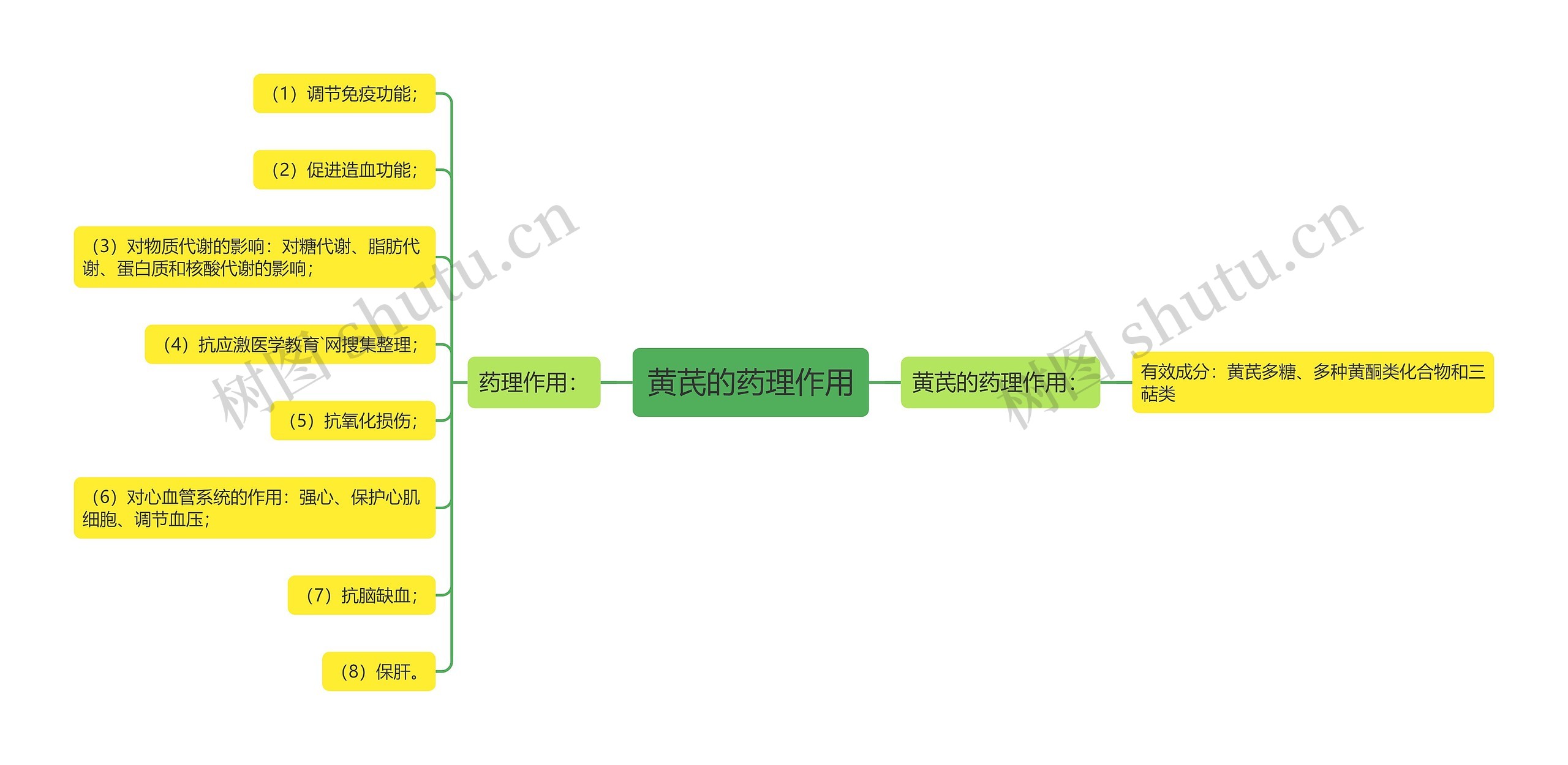 黄芪的药理作用思维导图