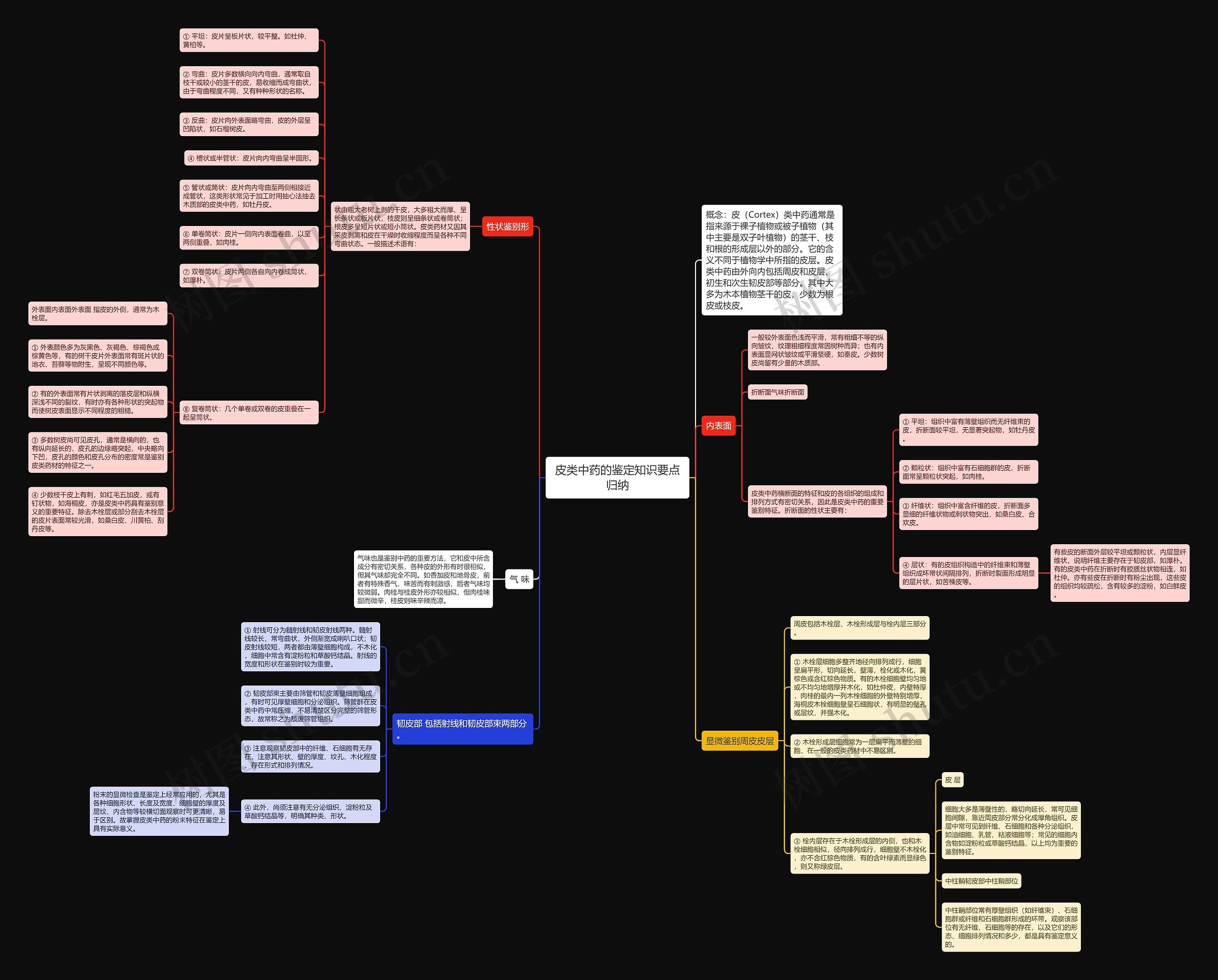 皮类中药的鉴定知识要点归纳思维导图