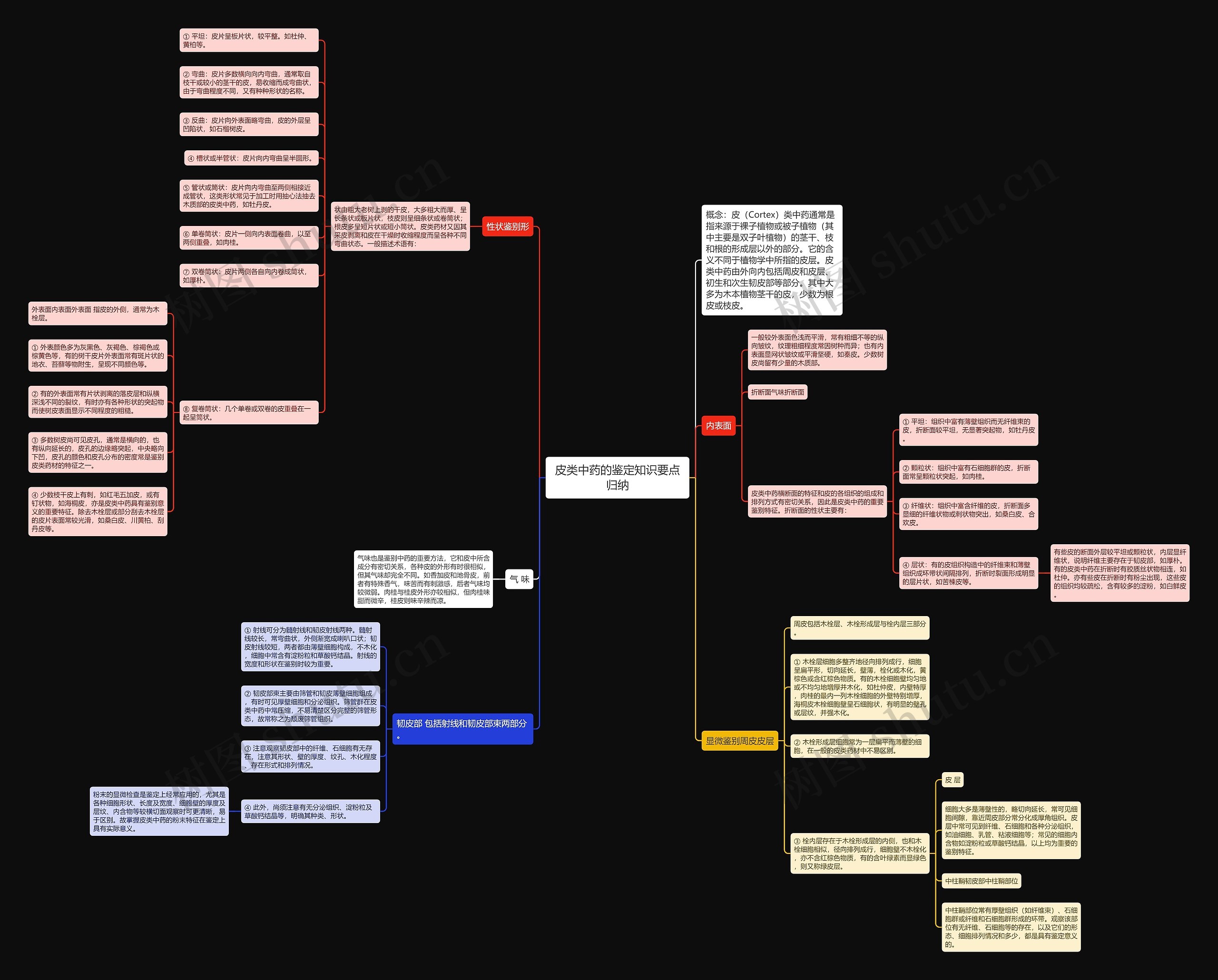 皮类中药的鉴定知识要点归纳 皮类中药的鉴定知识要点归纳