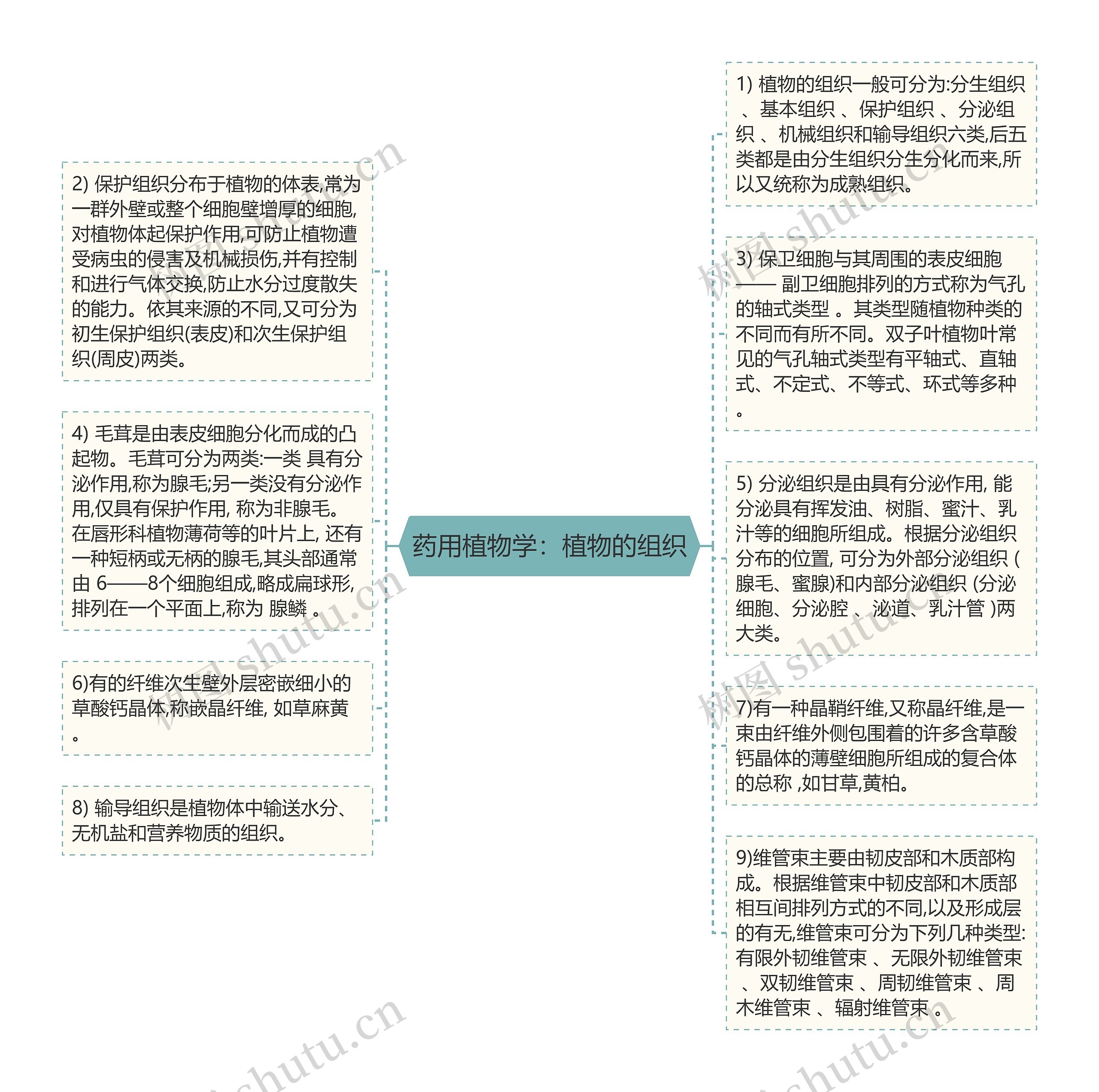 药用植物学：植物的组织