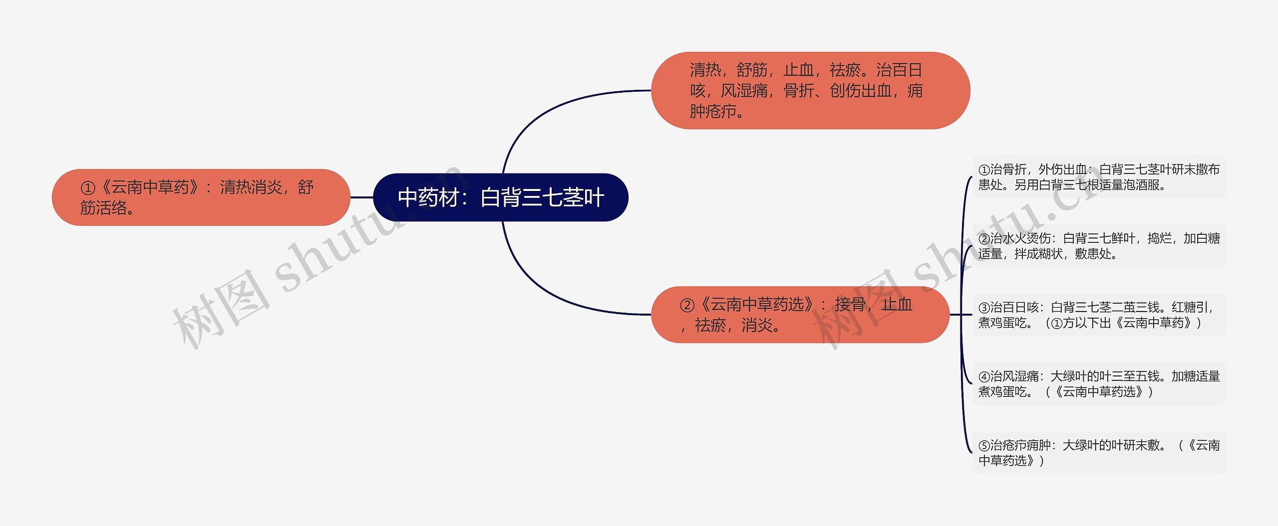 中药材：白背三七茎叶思维导图