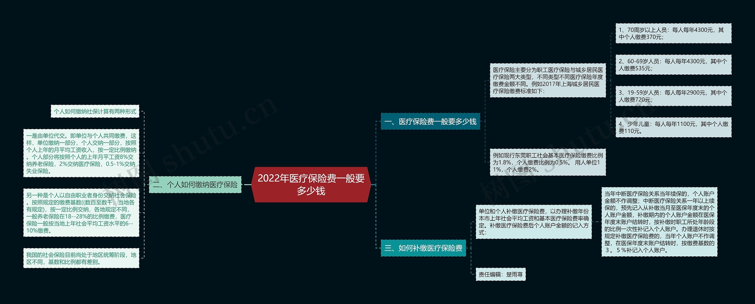 2022年医疗保险费一般要多少钱思维导图