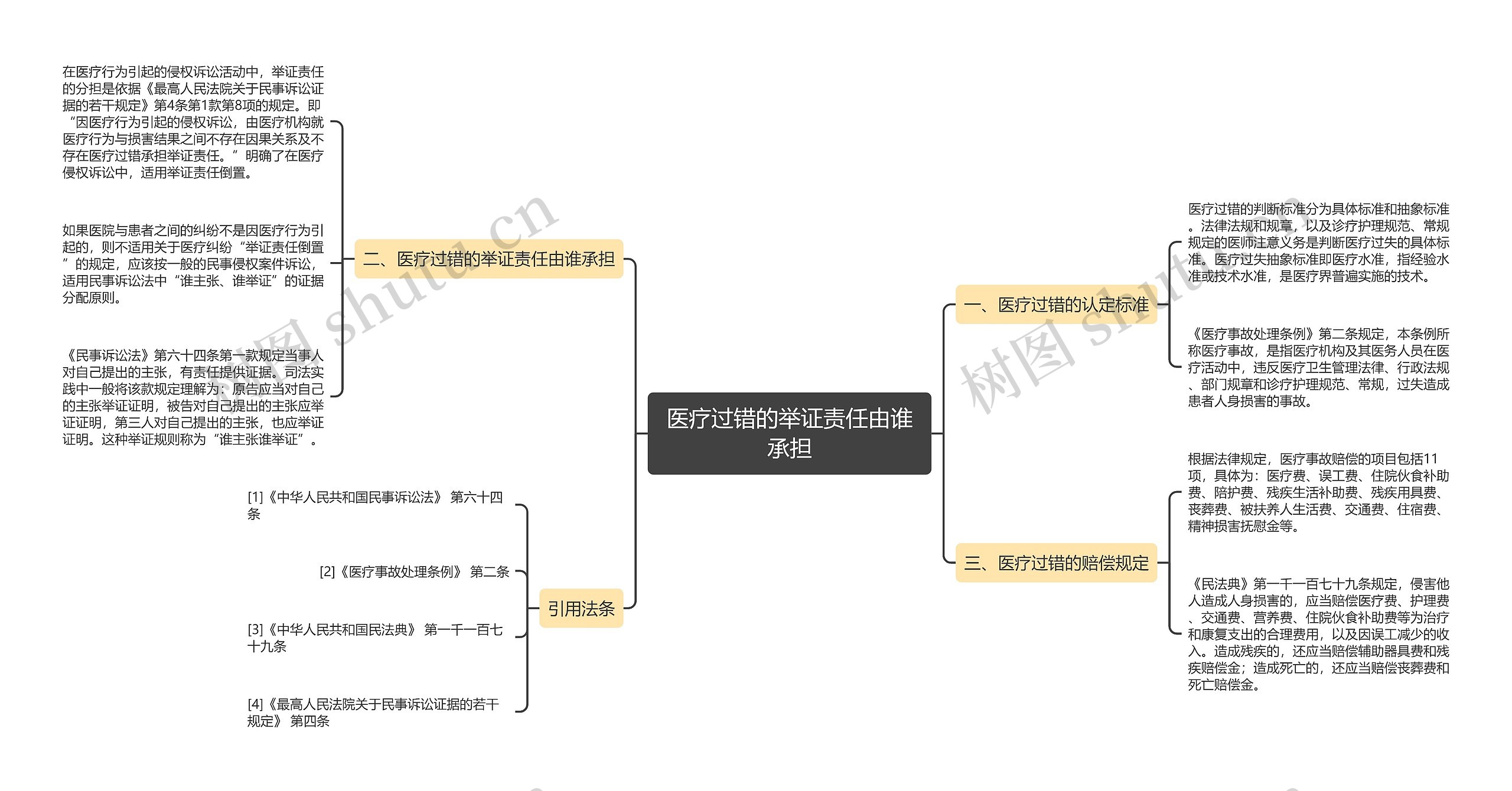 医疗过错的举证责任由谁承担思维导图