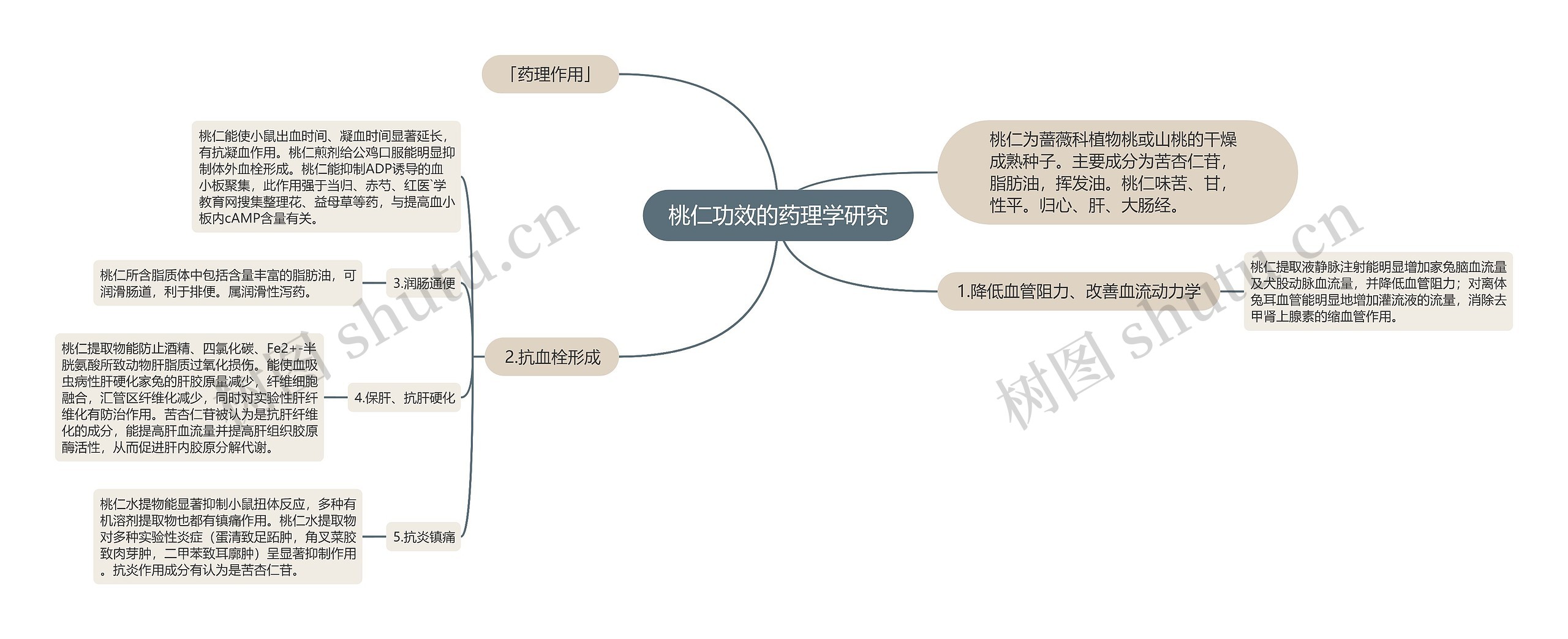 桃仁功效的药理学研究思维导图