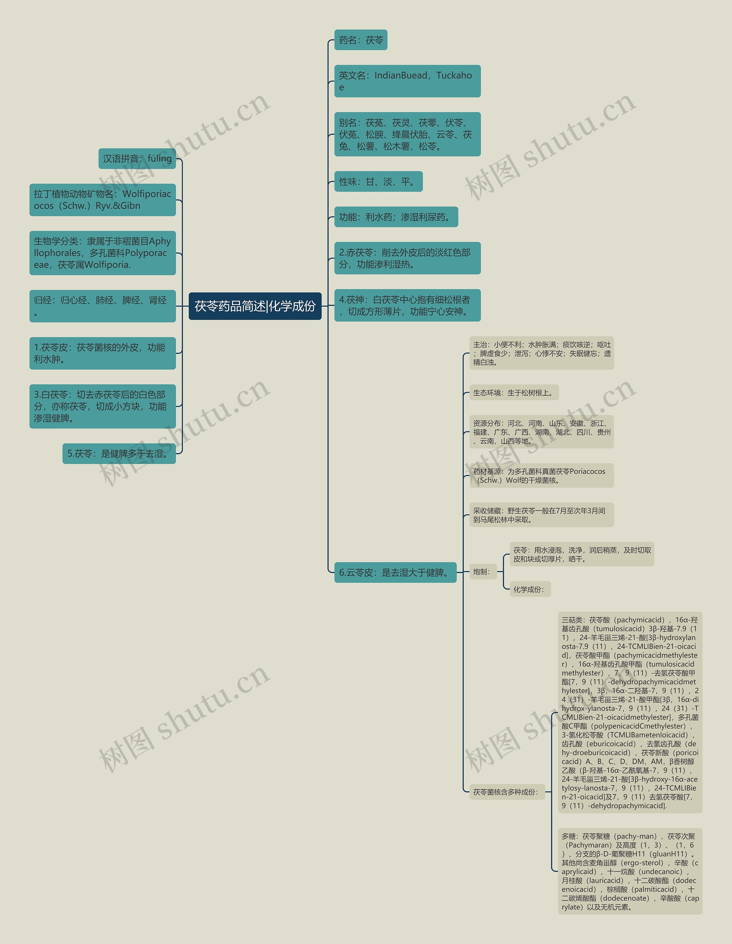 茯苓药品简述|化学成份思维导图