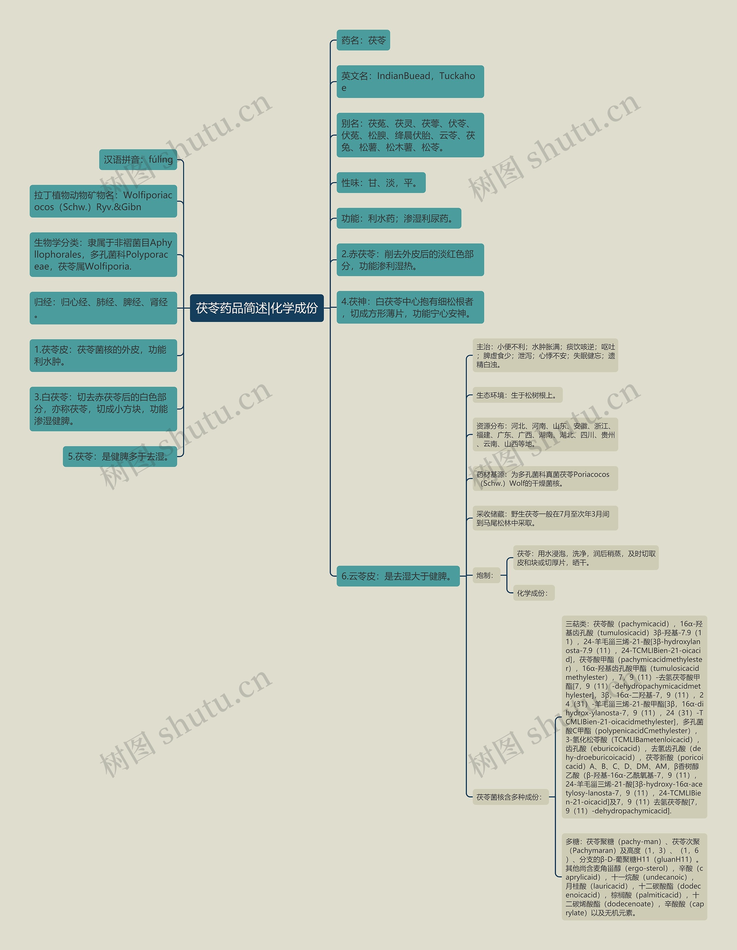 茯苓药品简述|化学成份思维导图高清图 茯苓药品简述|化学成份思维导图
