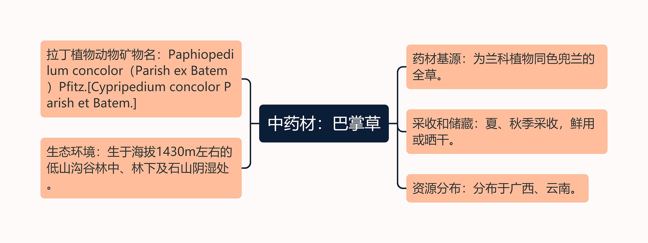 中药材：巴掌草思维导图