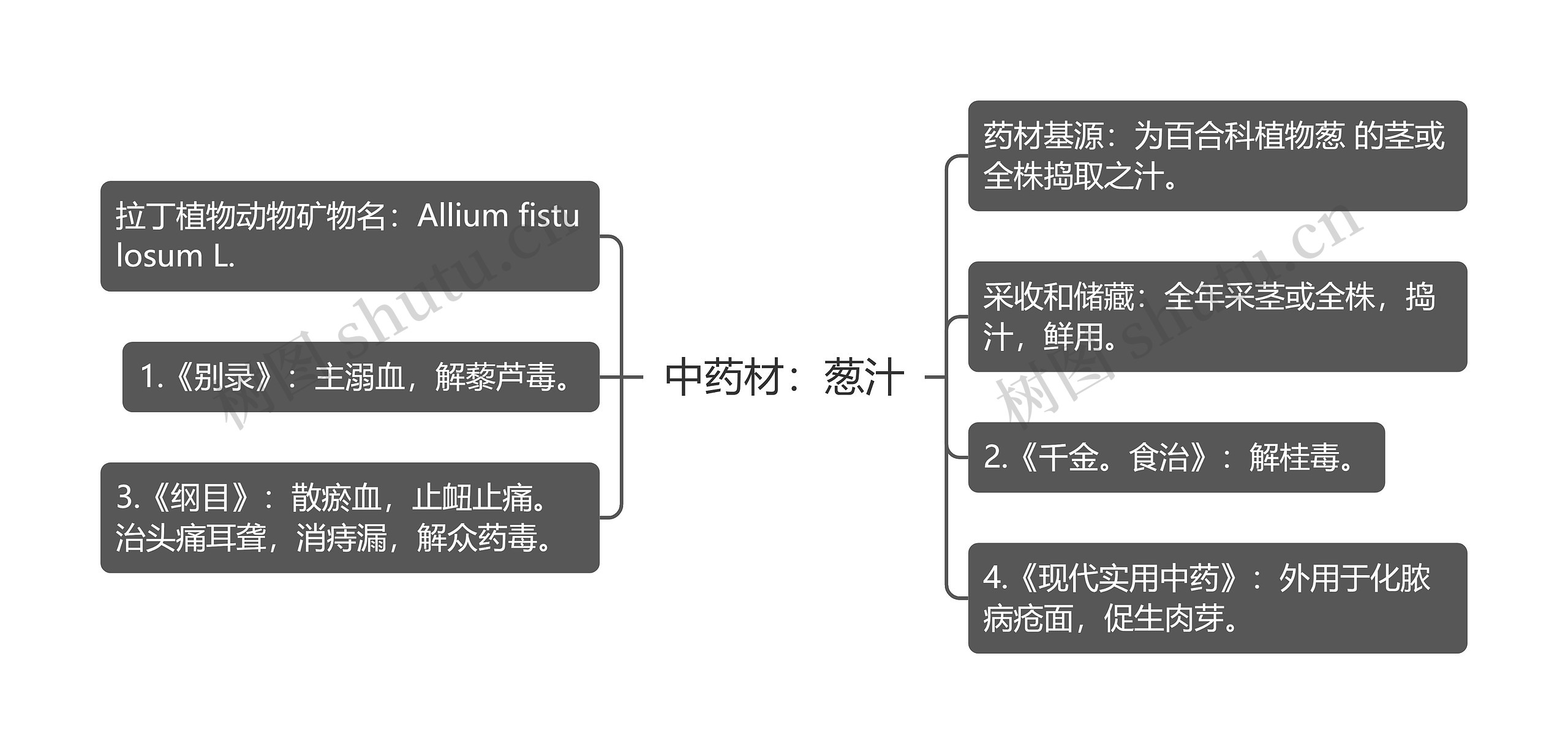 中药材：葱汁思维导图