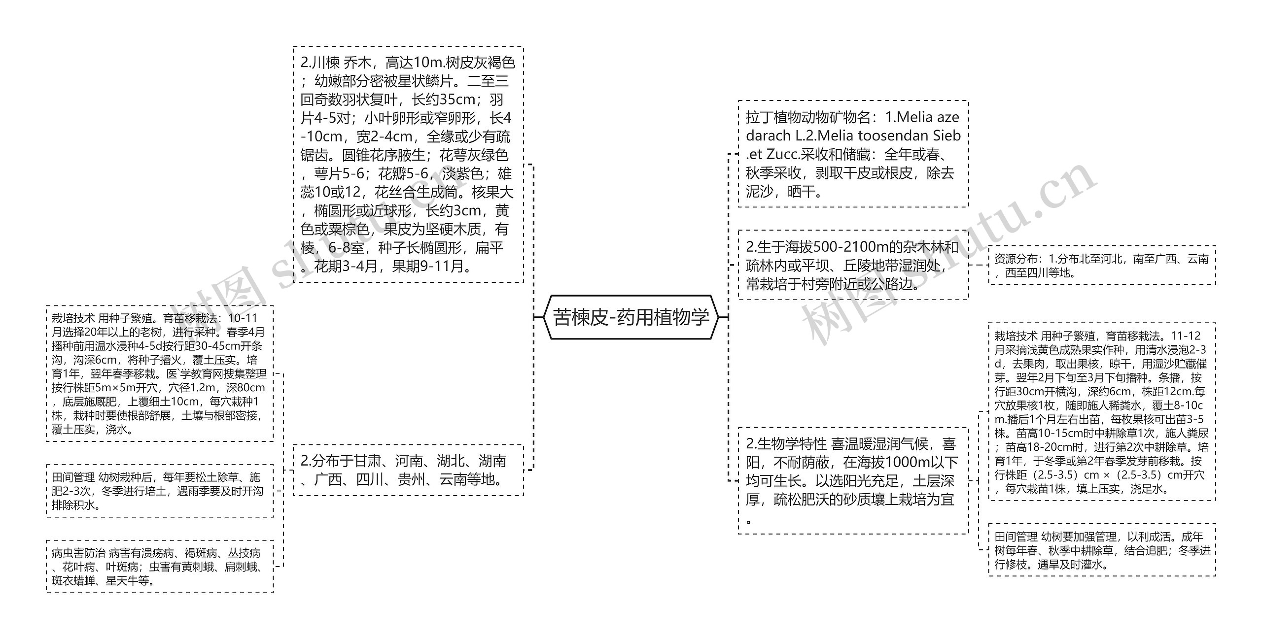 苦楝皮-药用植物学思维导图