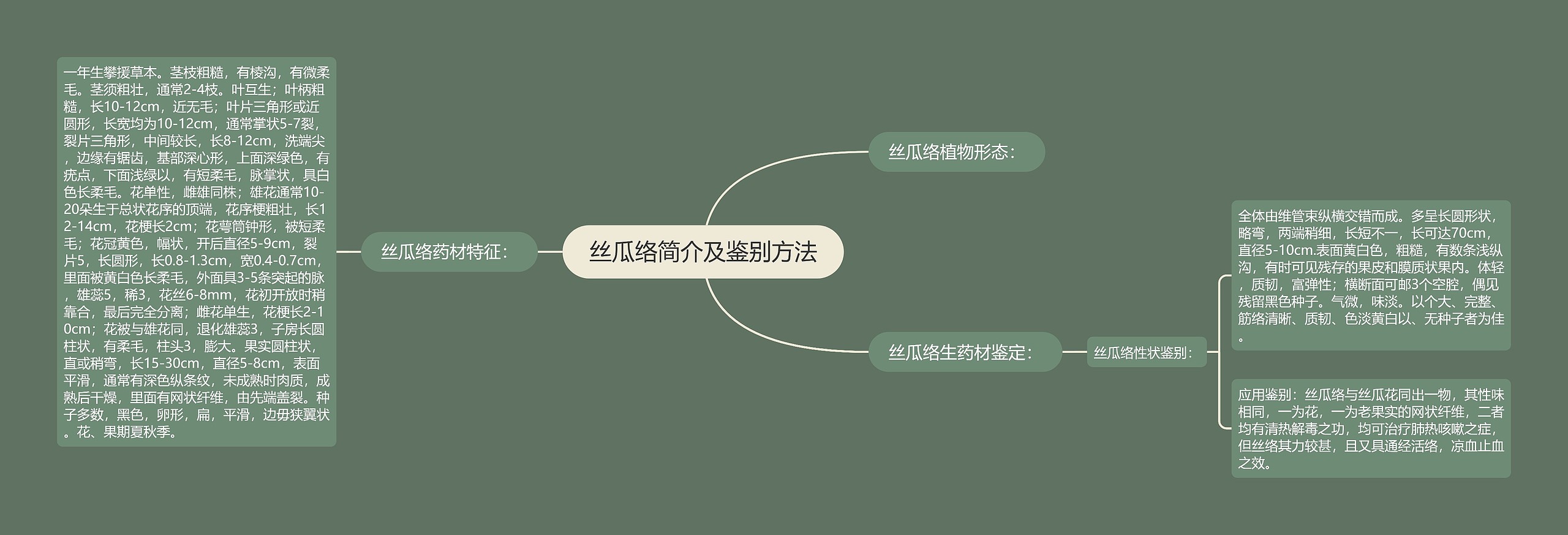 丝瓜络简介及鉴别方法思维导图