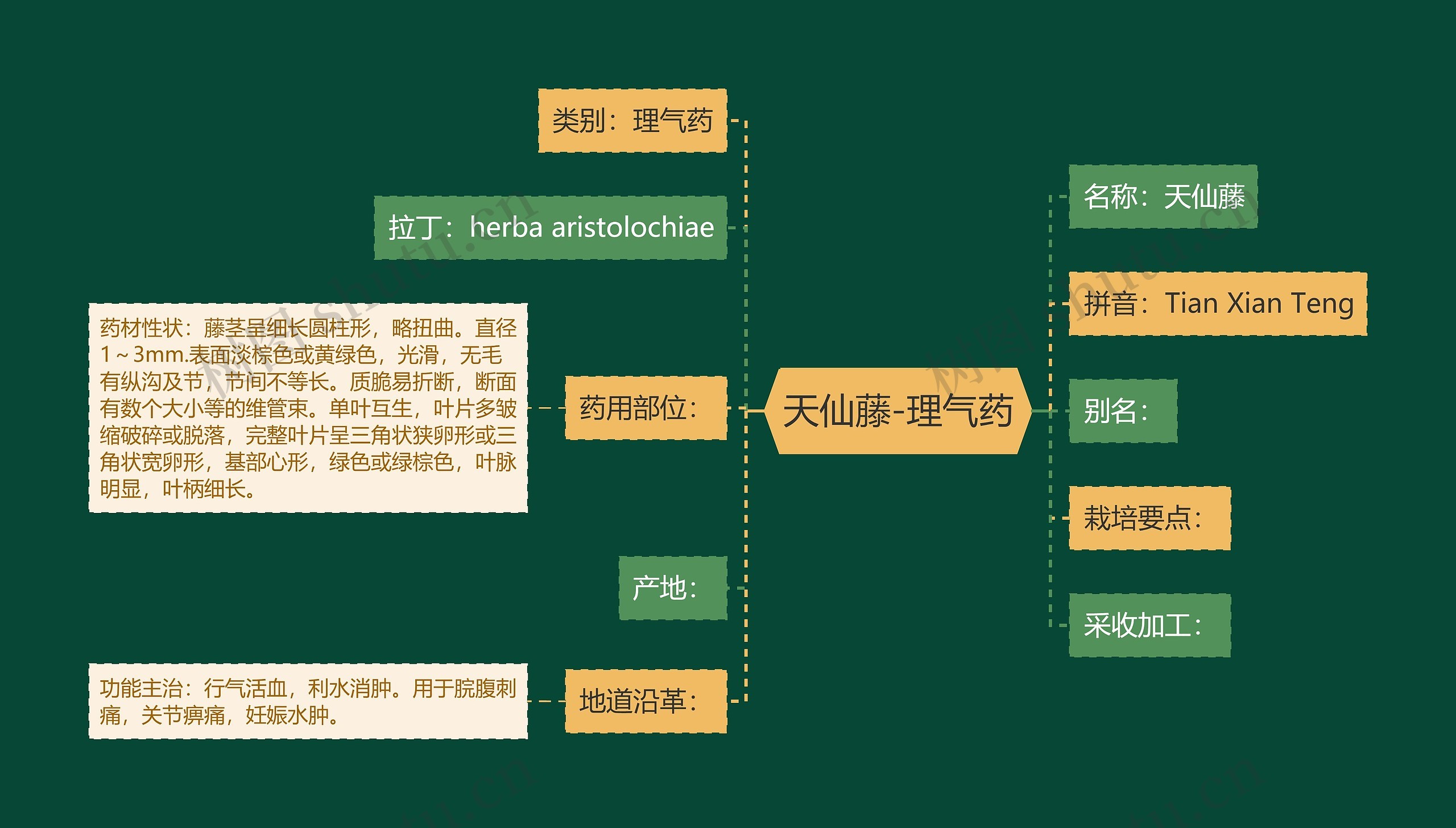 天仙藤-理气药思维导图