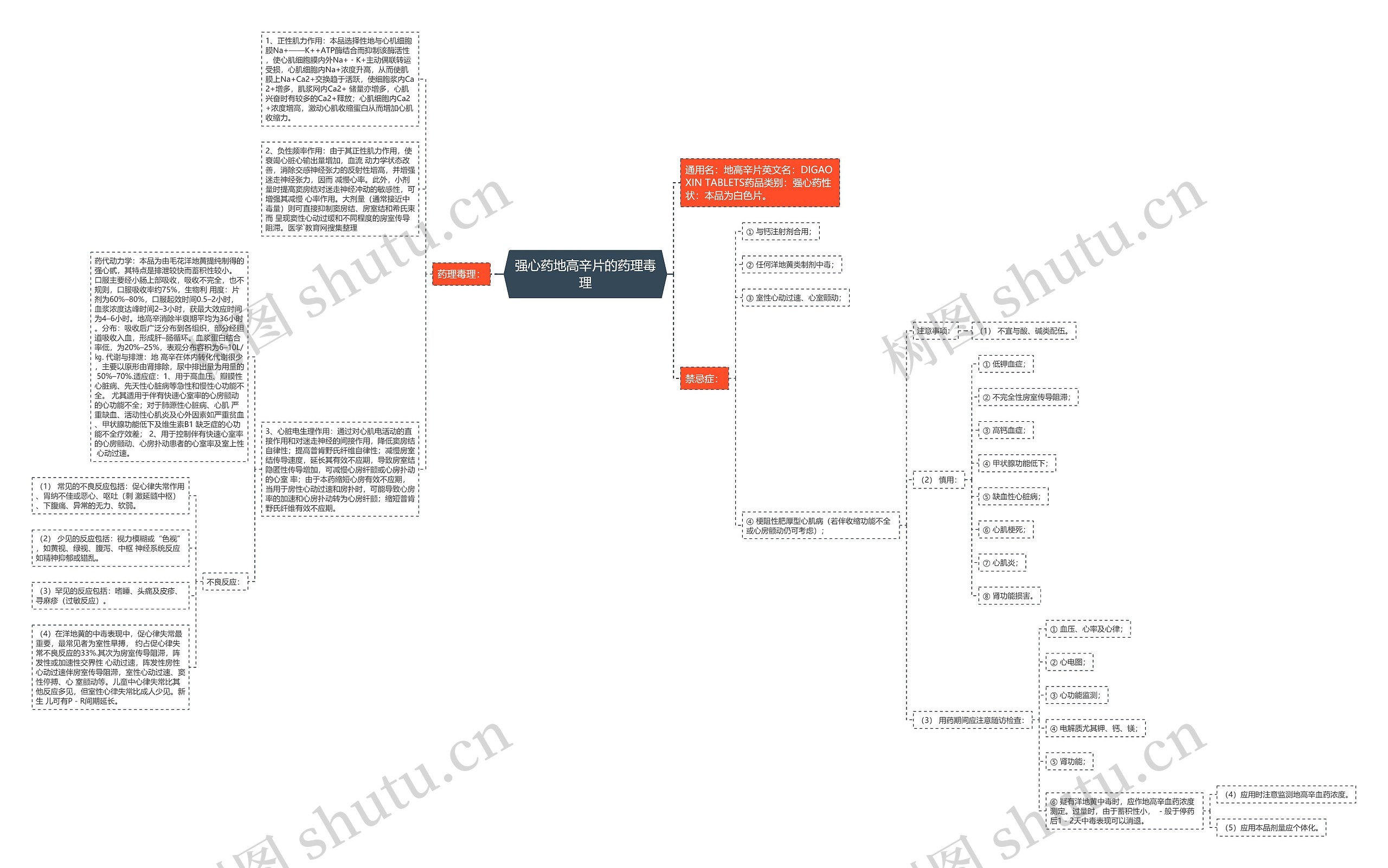 强心药地高辛片的药理毒理思维导图