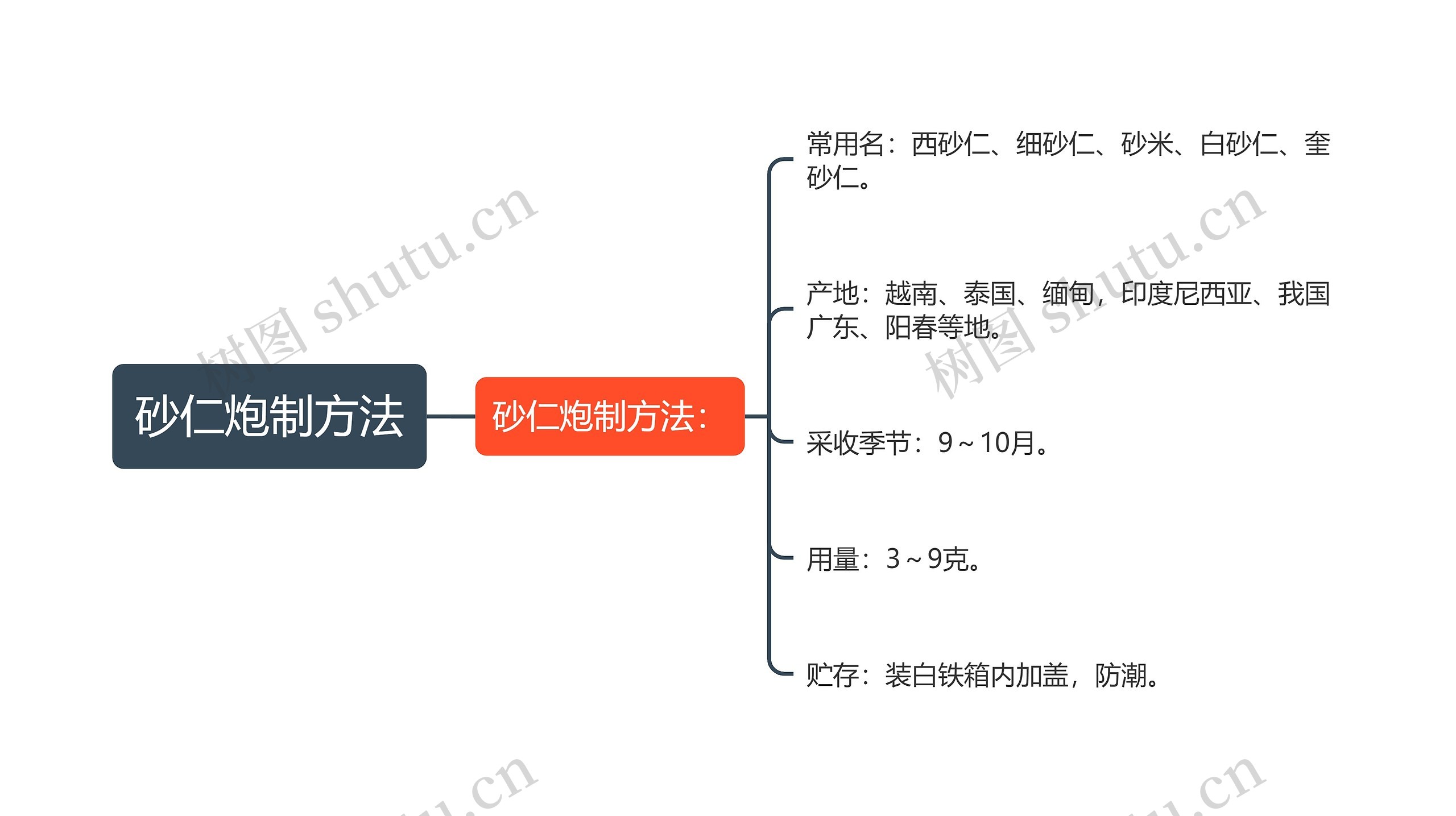 砂仁炮制方法思维导图