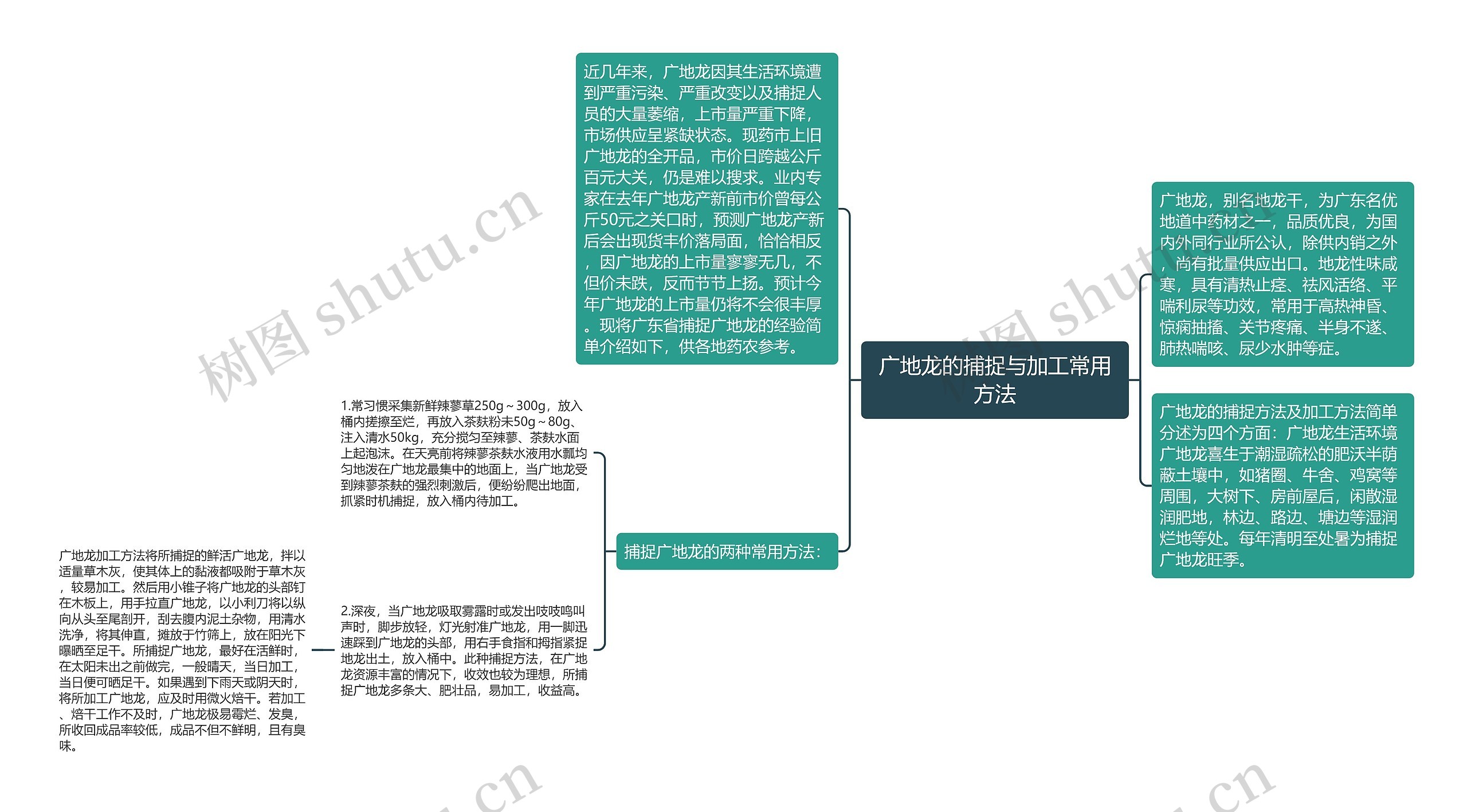 广地龙的捕捉与加工常用方法思维导图