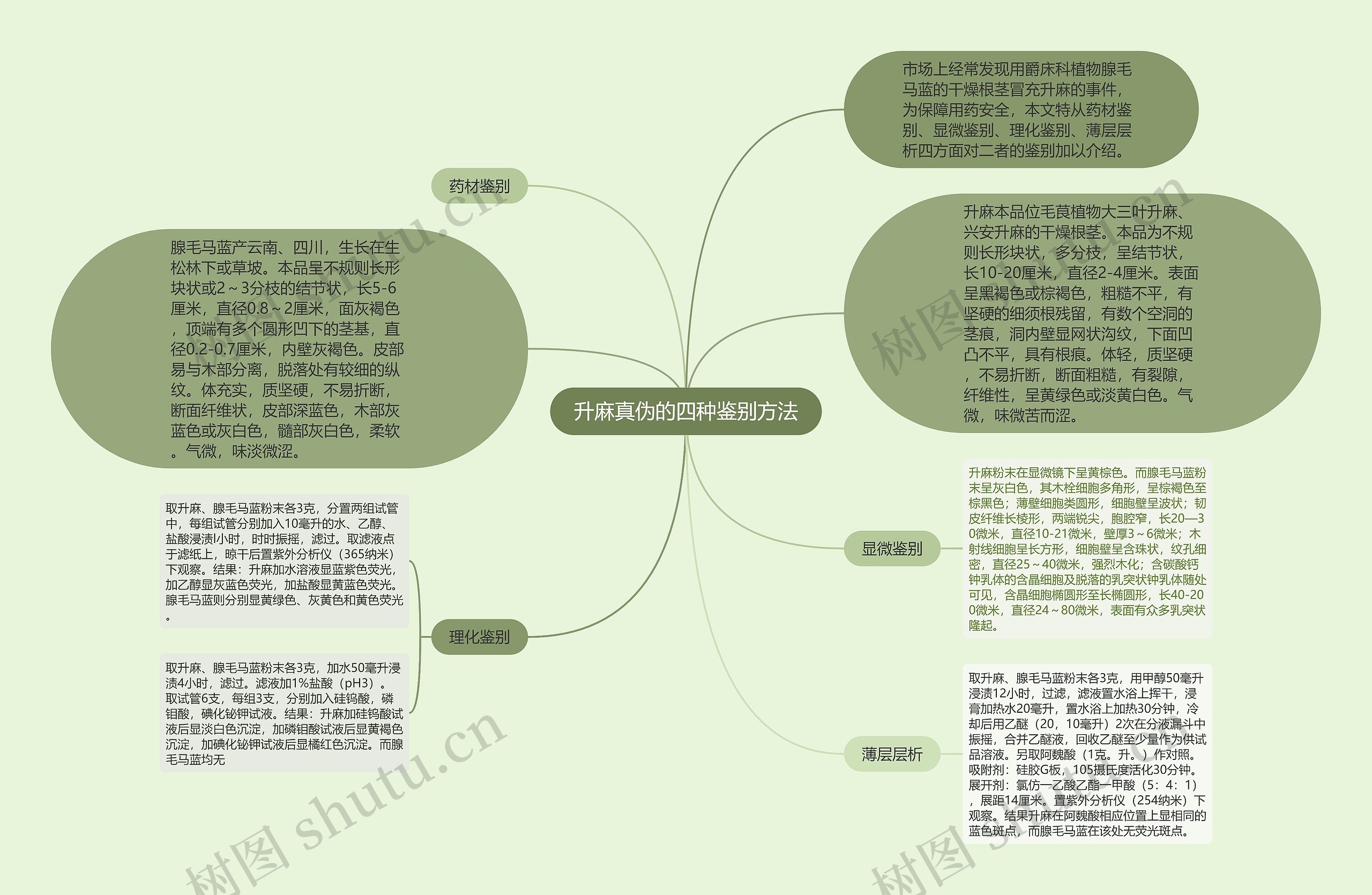 升麻真伪的四种鉴别方法思维导图