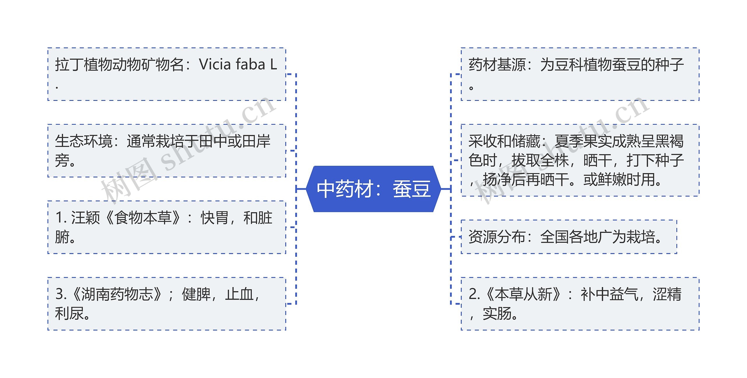 中药材：蚕豆思维导图