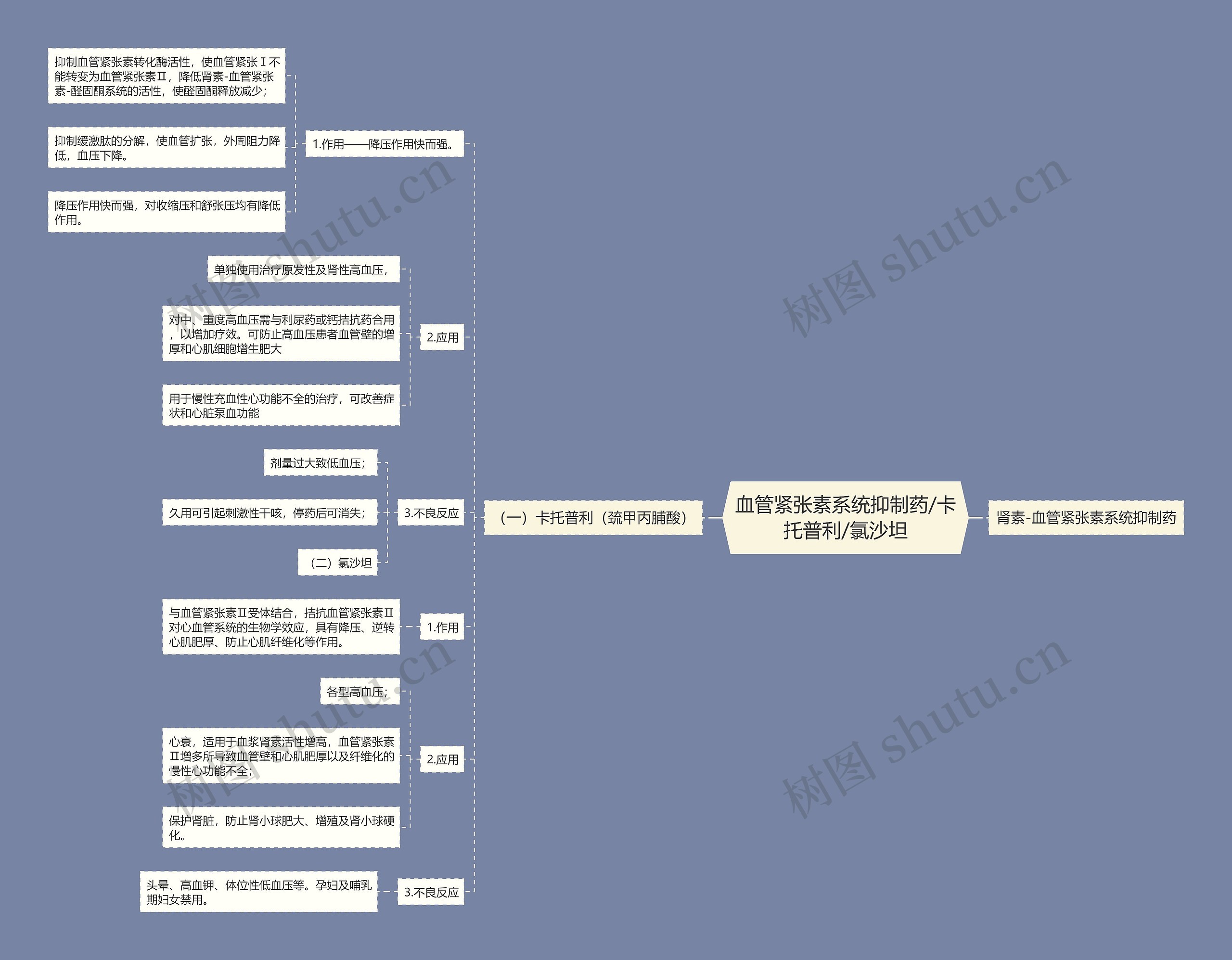 血管紧张素系统抑制药/卡托普利/氯沙坦